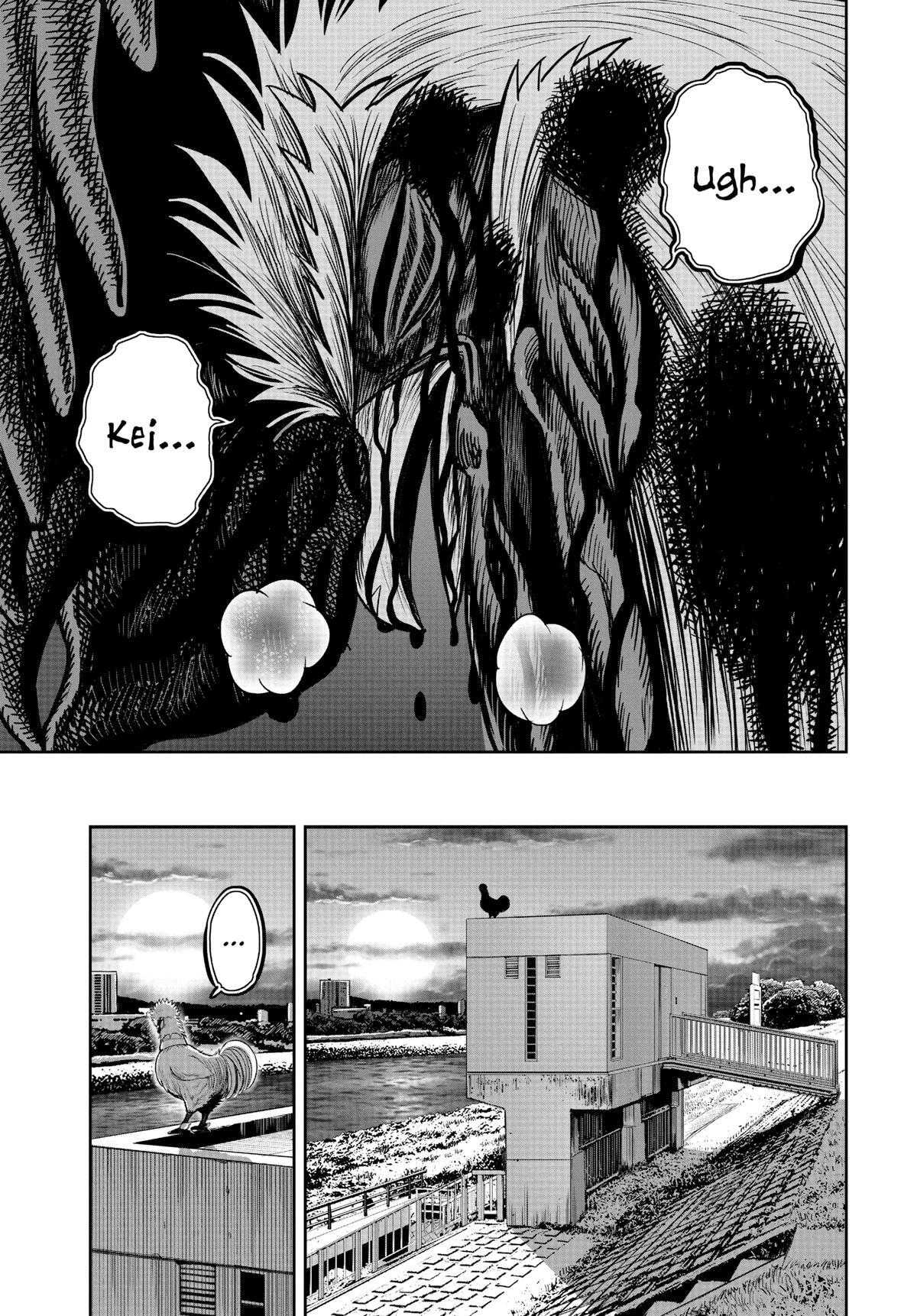 Read Rooster Fighter Manga Online