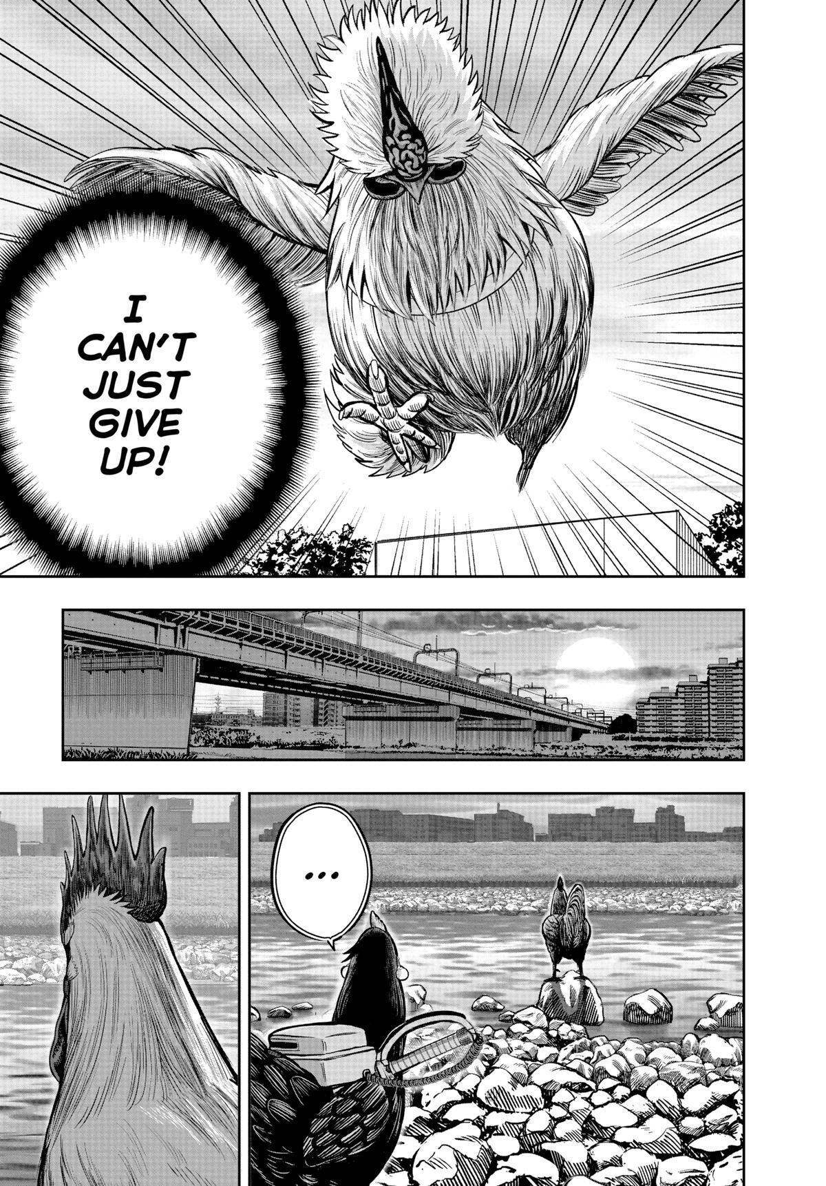 Read Rooster Fighter Manga Online