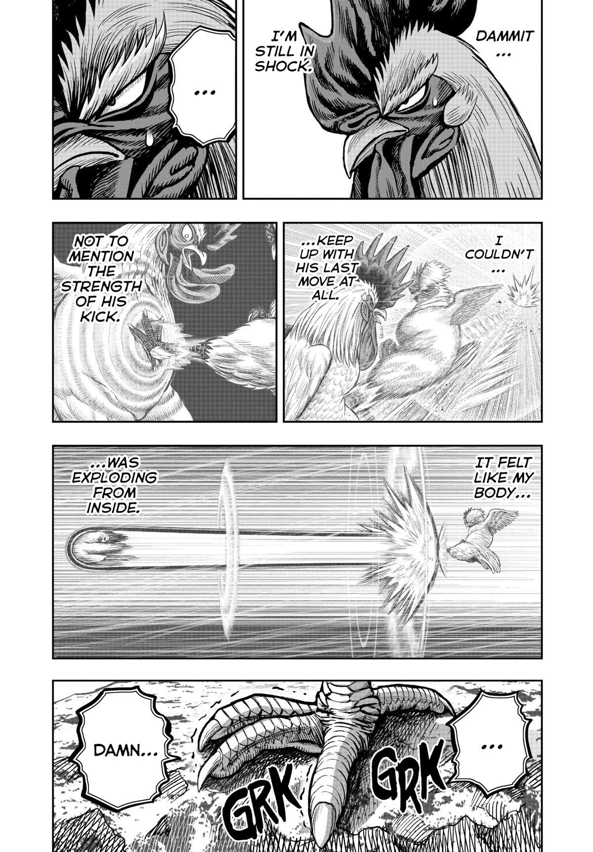 Read Rooster Fighter Manga Online