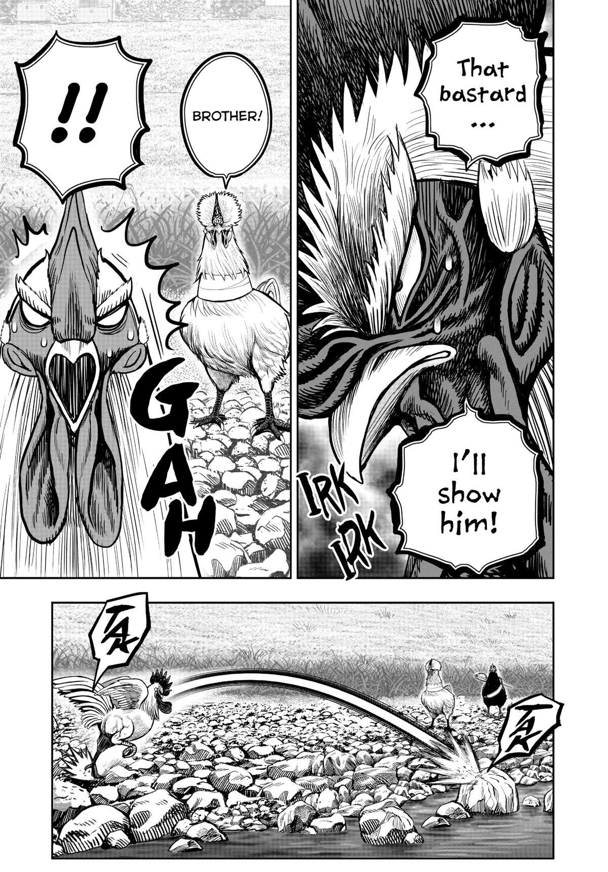 Read Rooster Fighter Manga Online