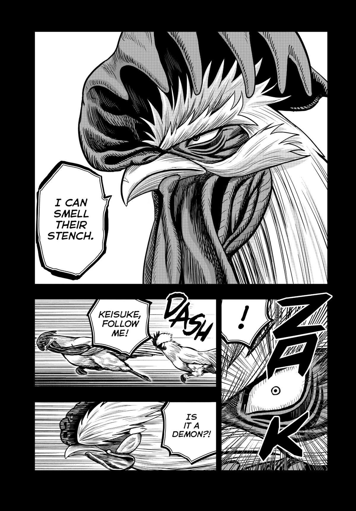 Read Rooster Fighter Manga Online