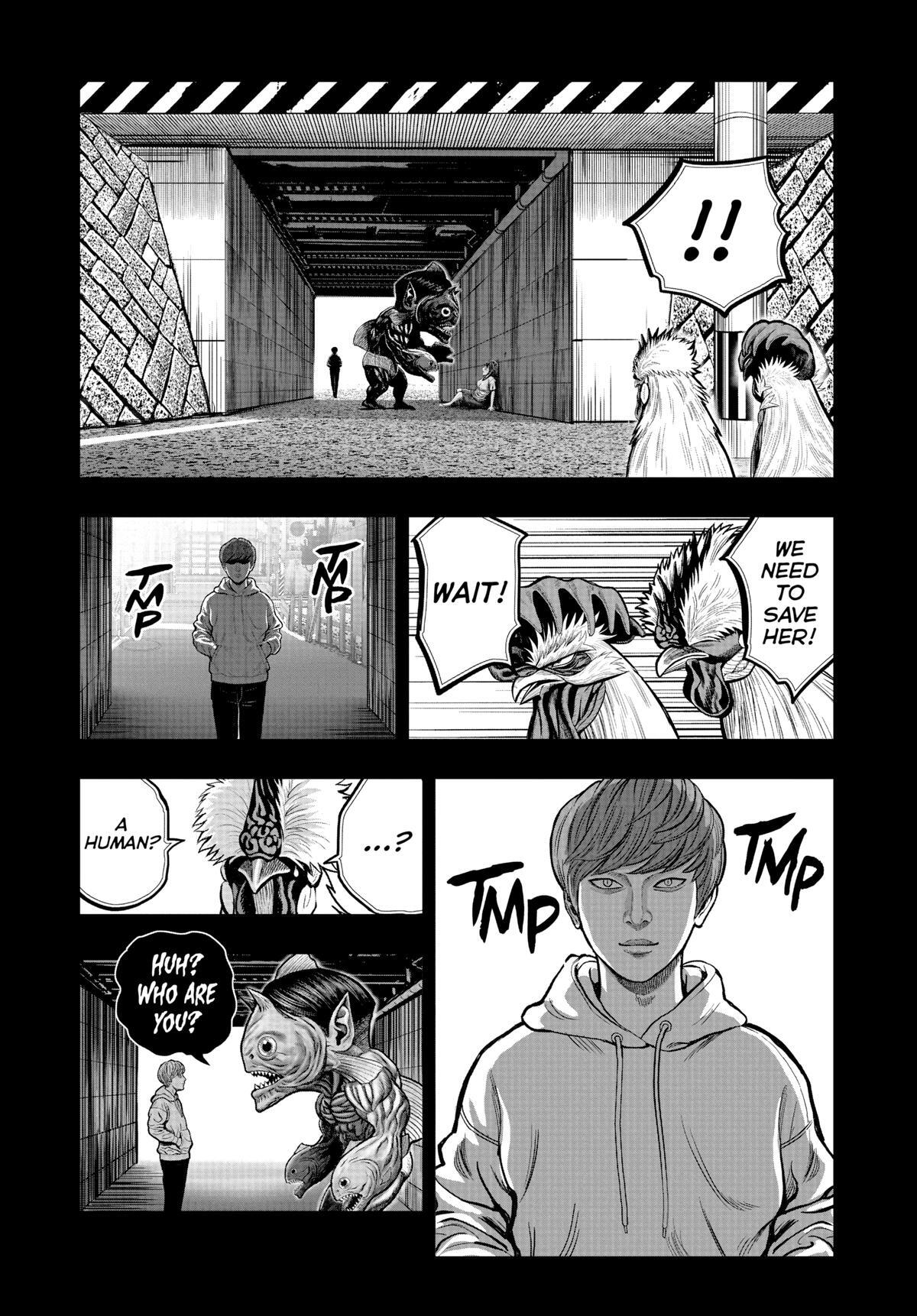 Read Rooster Fighter Manga Online