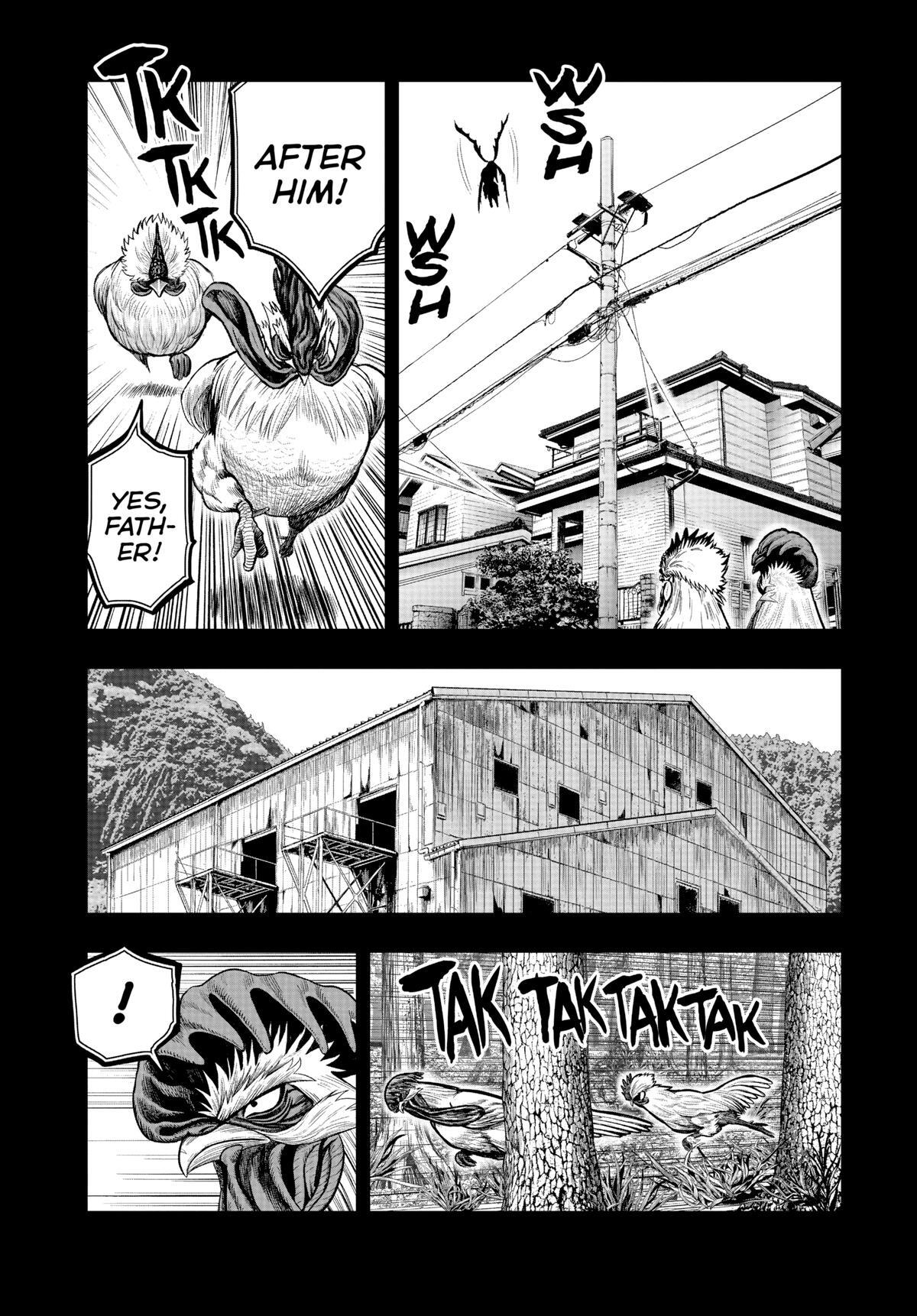 Read Rooster Fighter Manga Online