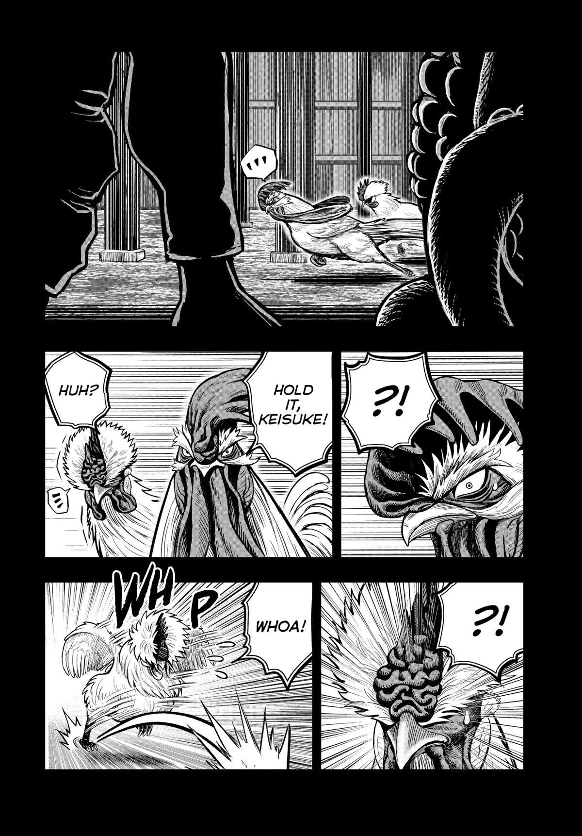 Read Rooster Fighter Manga Online