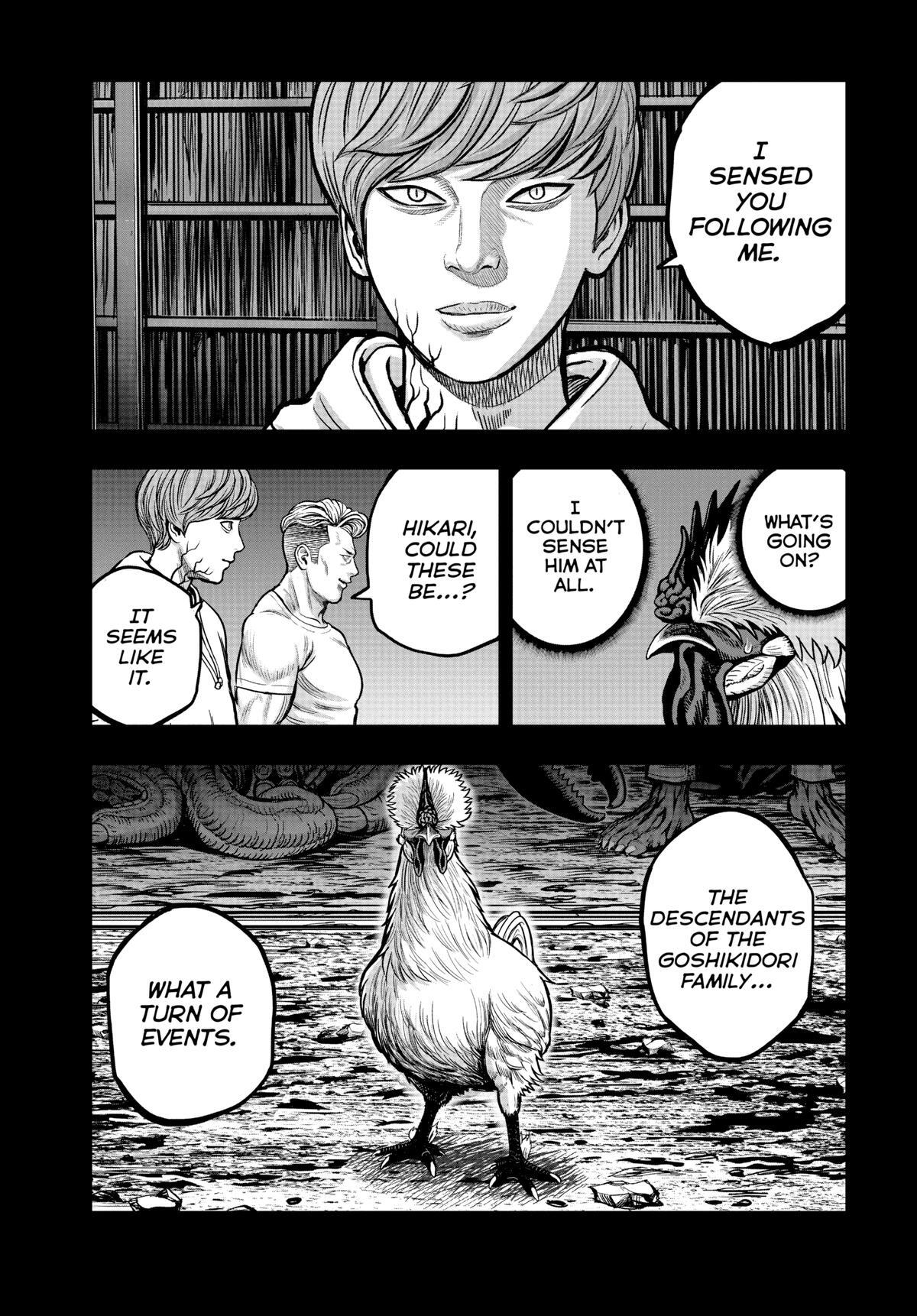 Read Rooster Fighter Manga Online