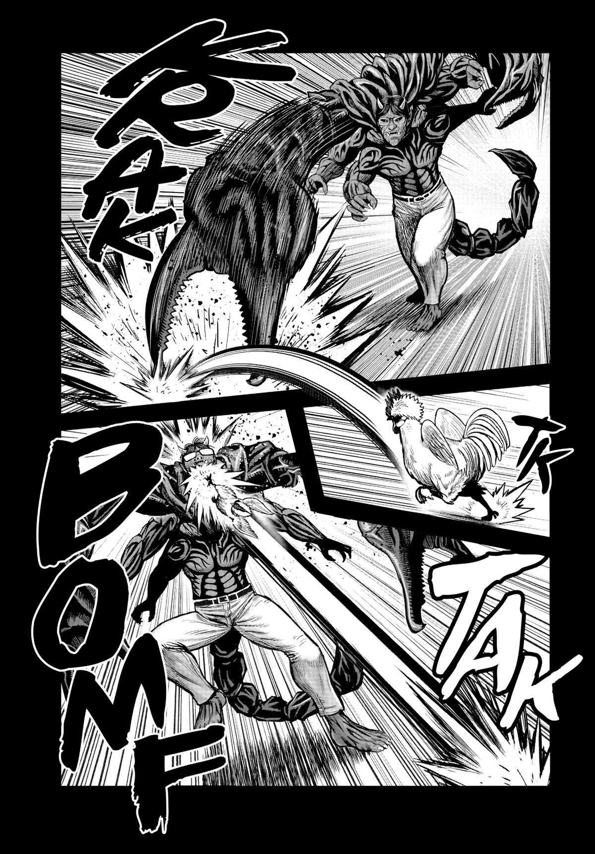 Read Rooster Fighter Manga Online