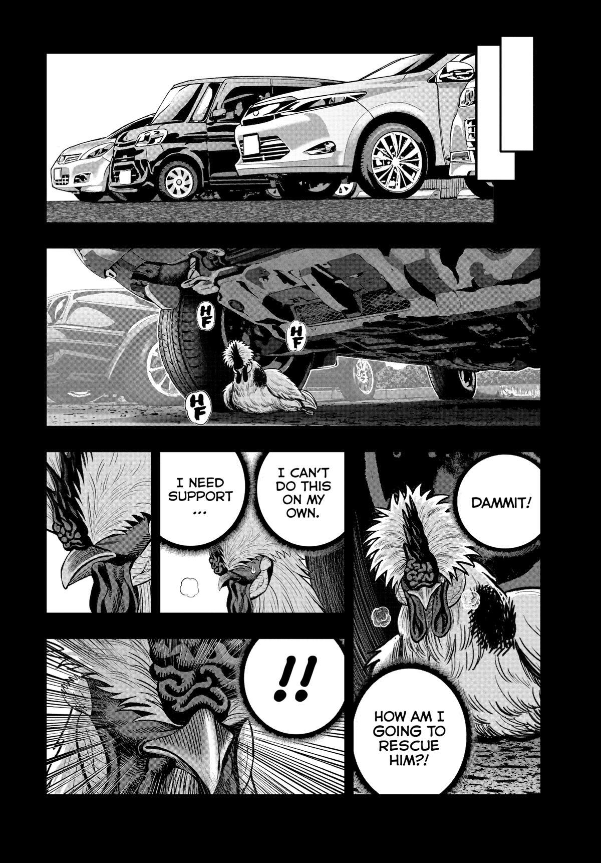 Read Rooster Fighter Manga Online