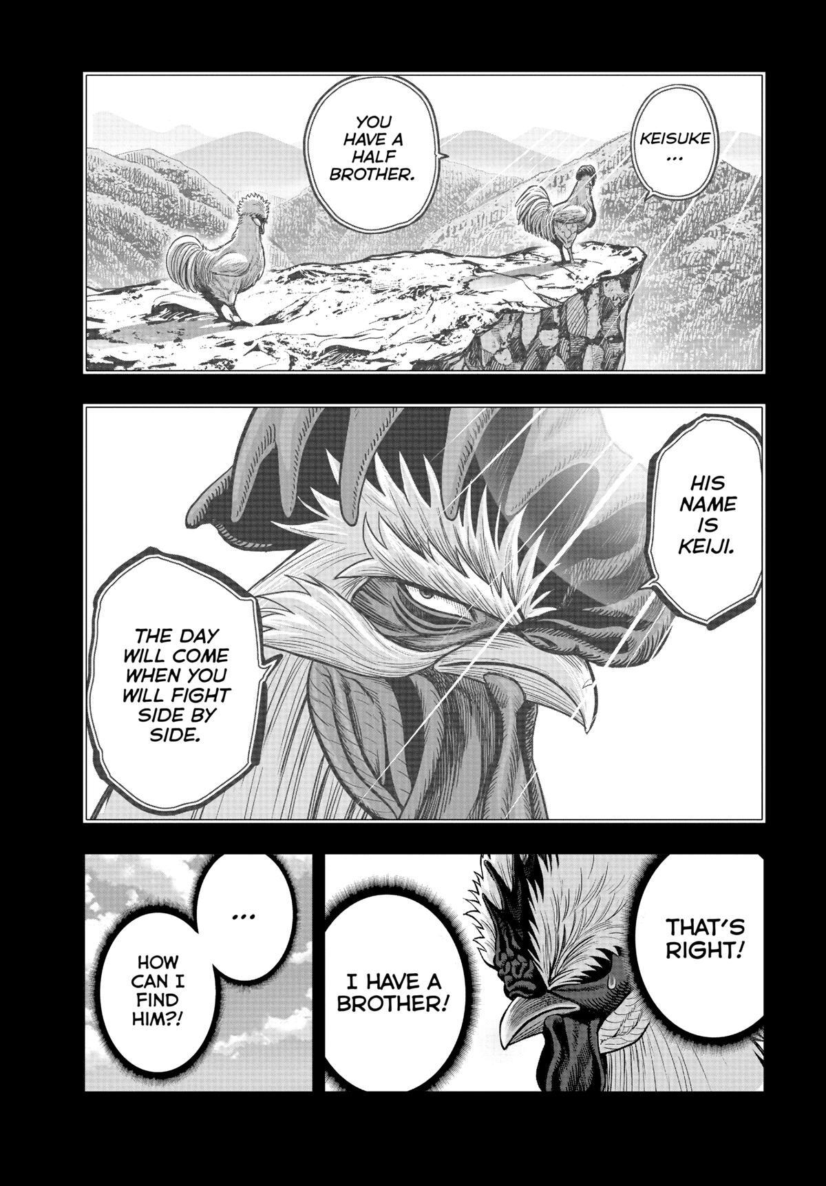 Read Rooster Fighter Manga Online