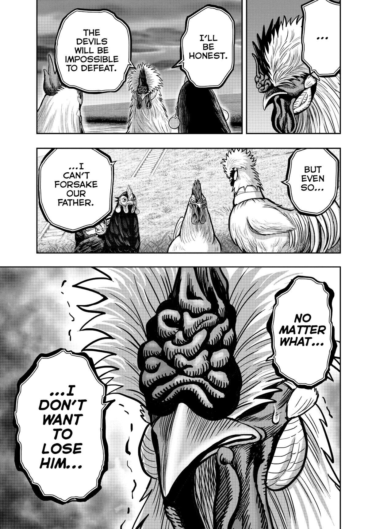 Read Rooster Fighter Manga Online