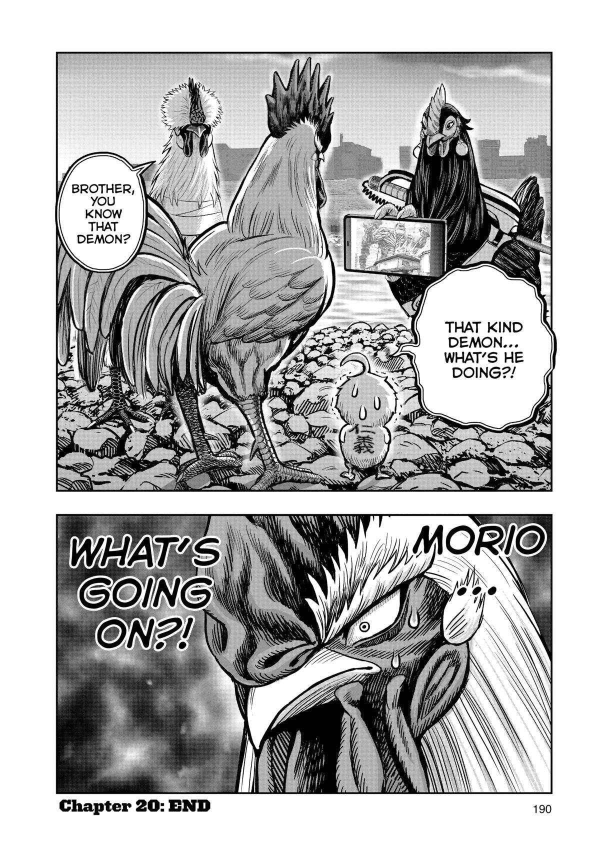 Read Rooster Fighter Manga Online
