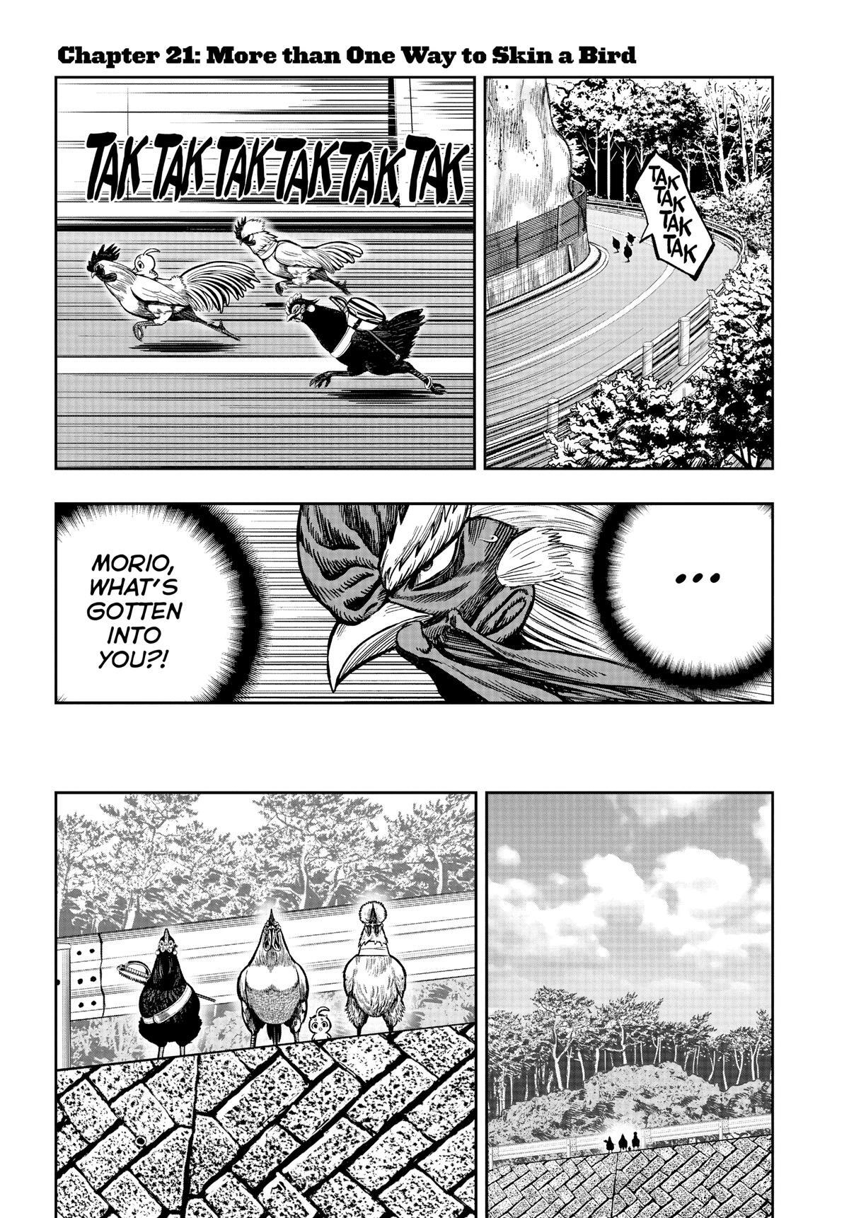Read Rooster Fighter Manga Online