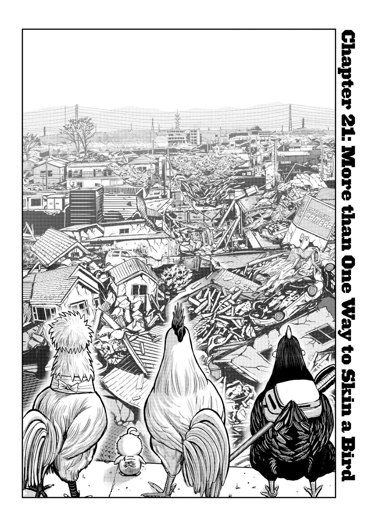 Read Rooster Fighter Manga Online