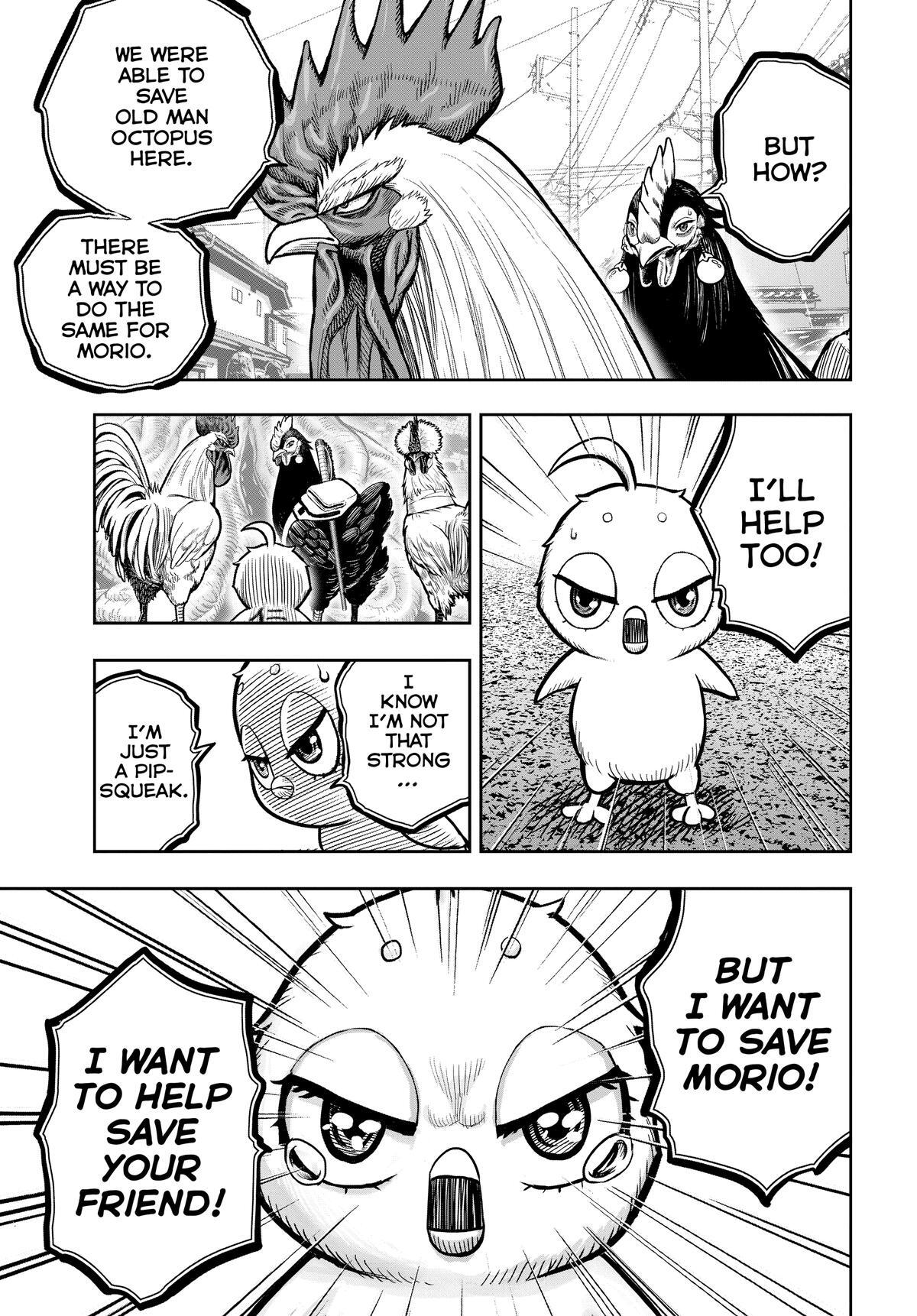 Read Rooster Fighter Manga Online