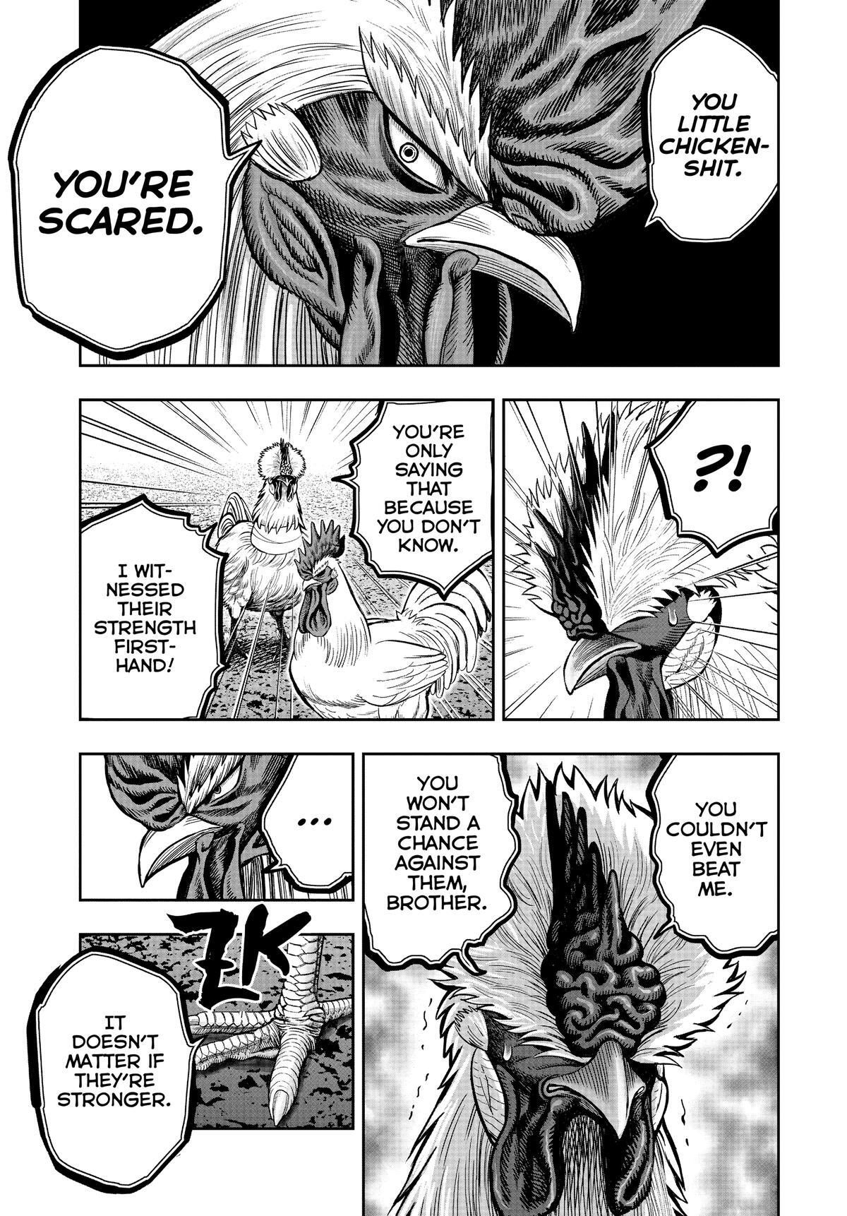 Read Rooster Fighter Manga Online