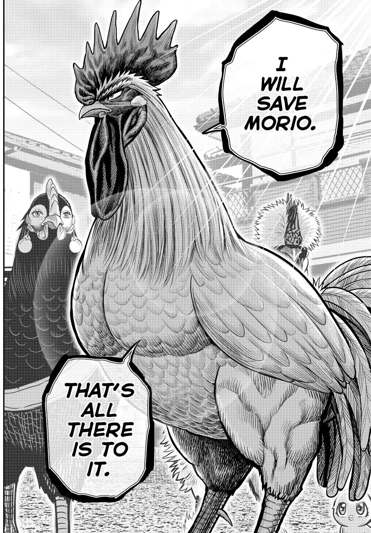 Read Rooster Fighter Manga Online