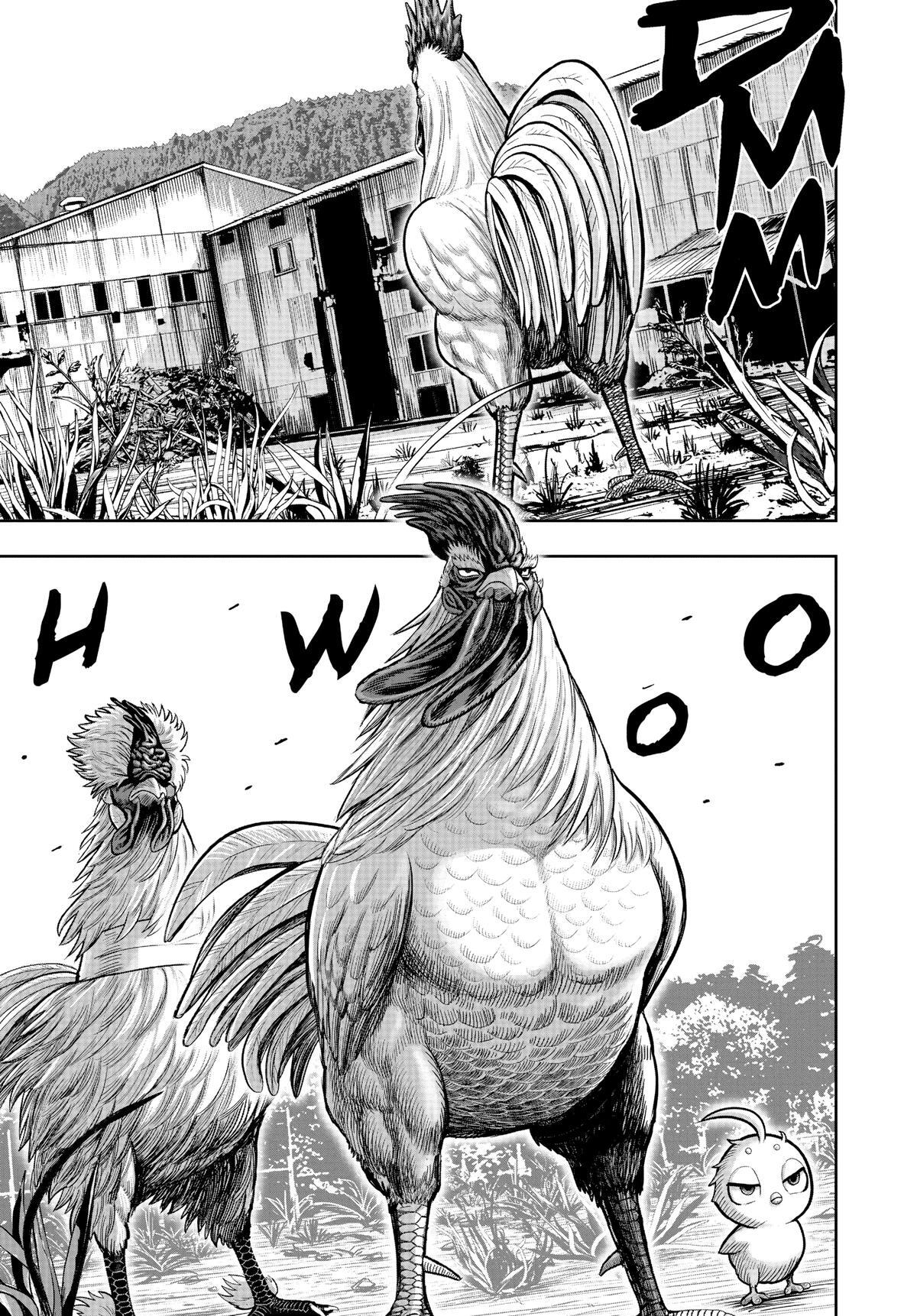 Read Rooster Fighter Manga Online