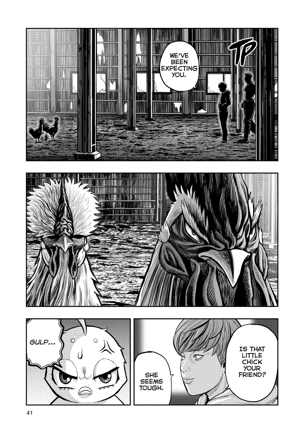 Read Rooster Fighter Manga Online
