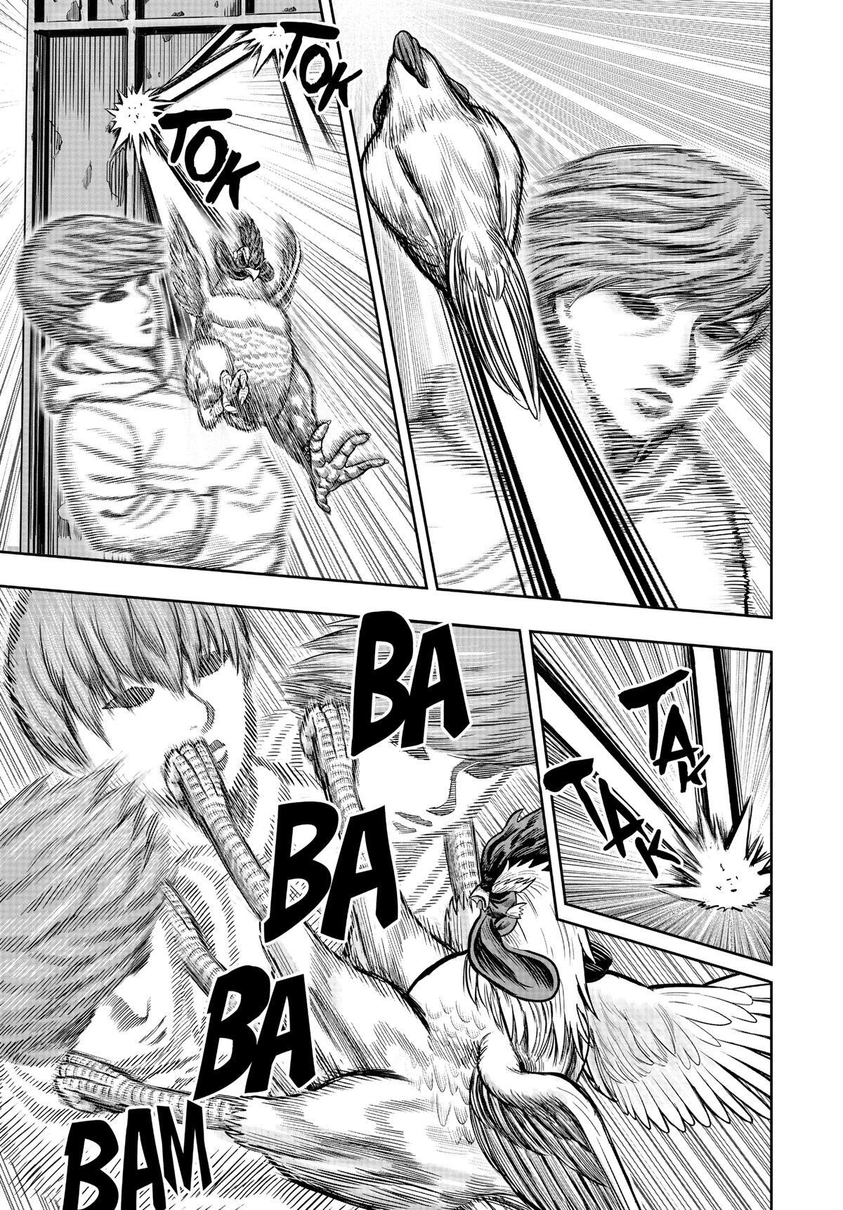 Read Rooster Fighter Manga Online
