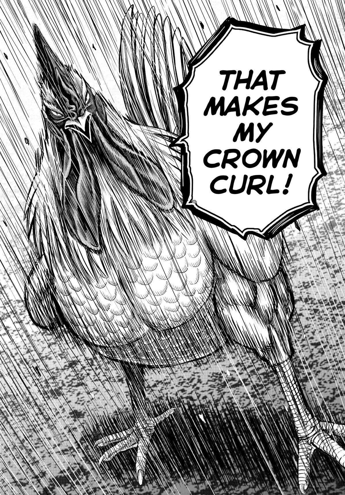 Read Rooster Fighter Manga Online