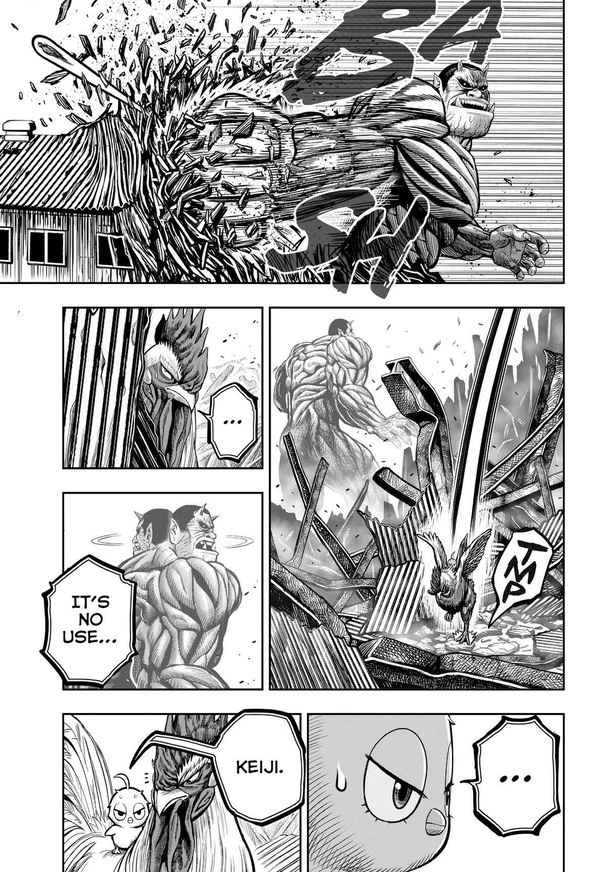 Read Rooster Fighter Manga Online