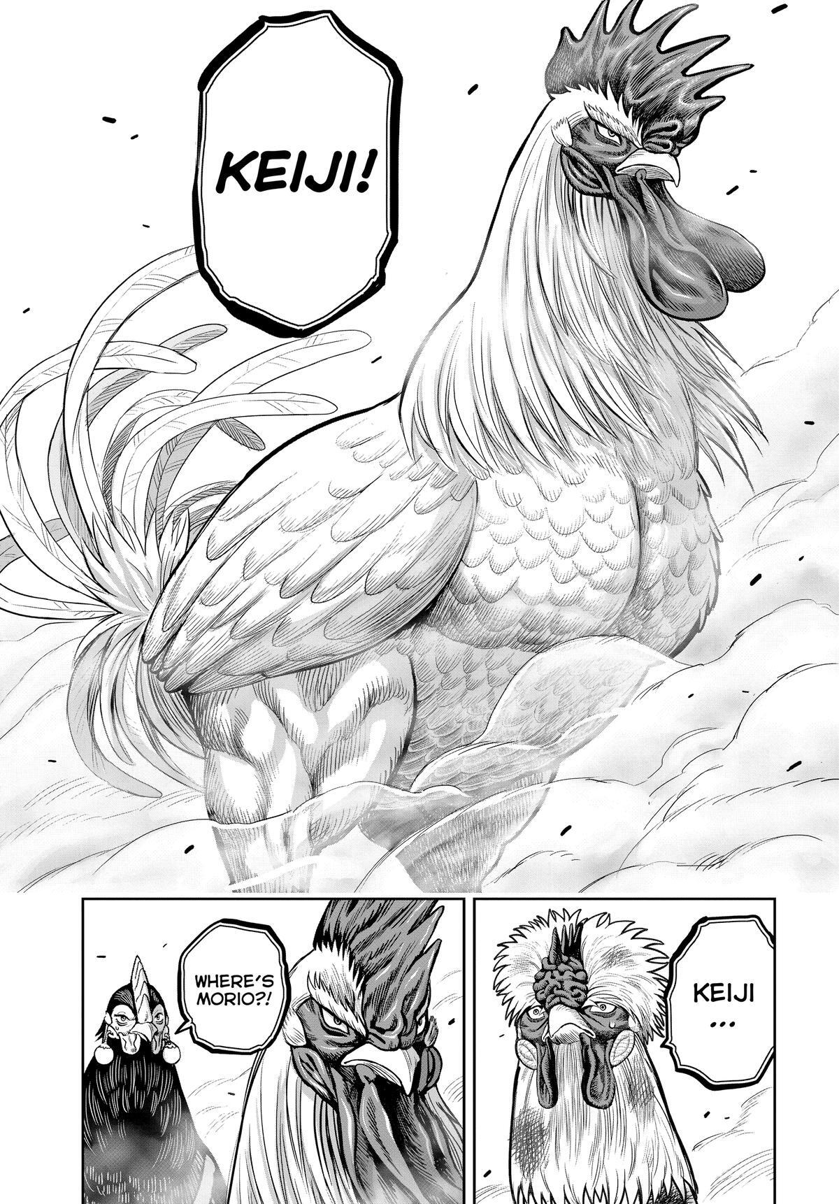 Read Rooster Fighter Manga Online