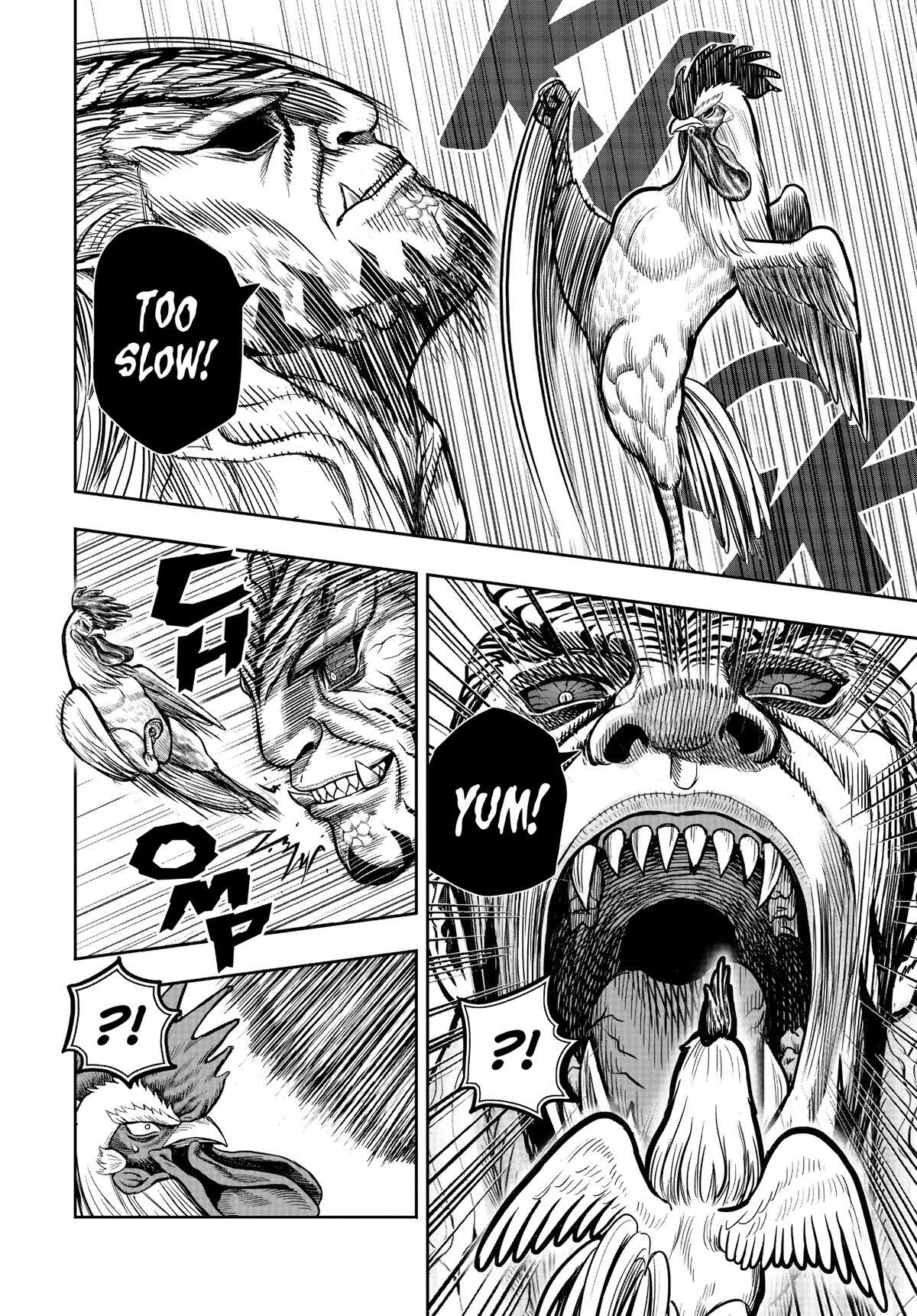 Read Rooster Fighter Manga Online