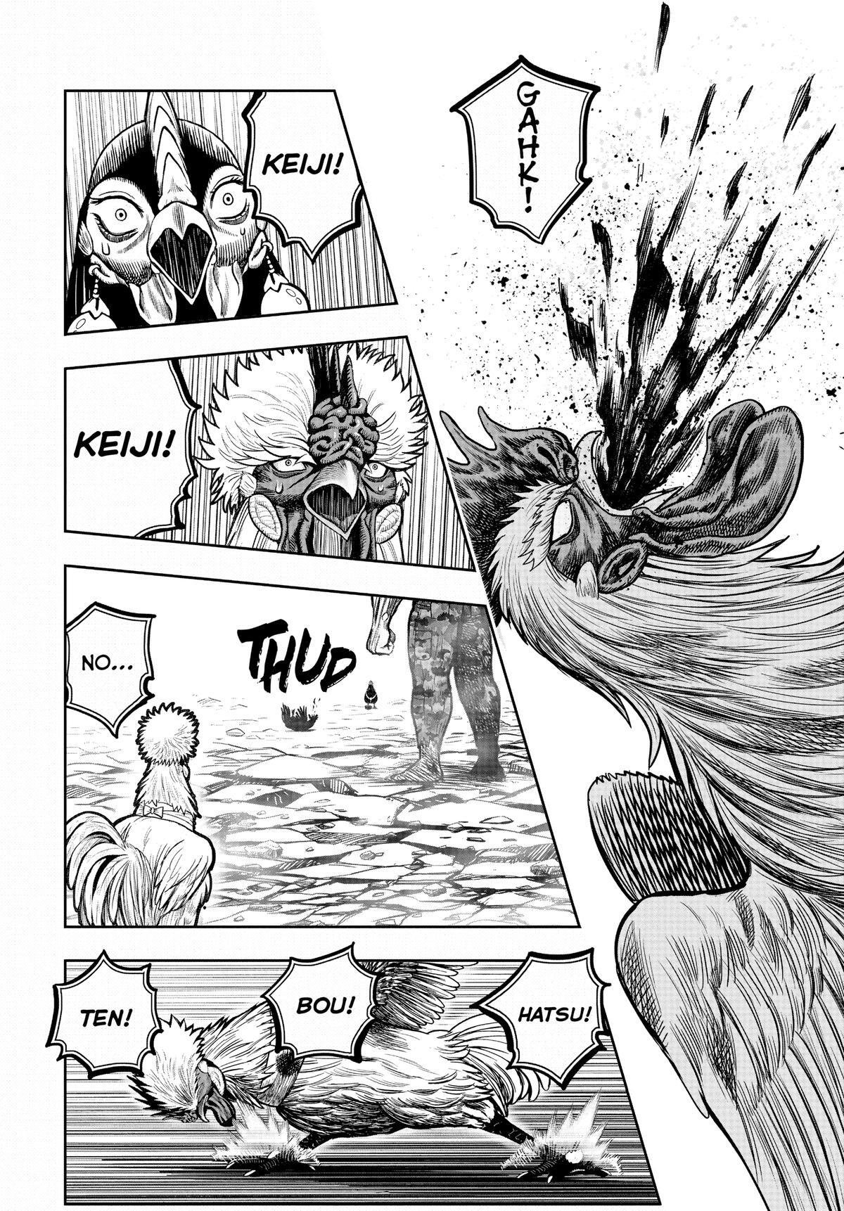 Read Rooster Fighter Manga Online