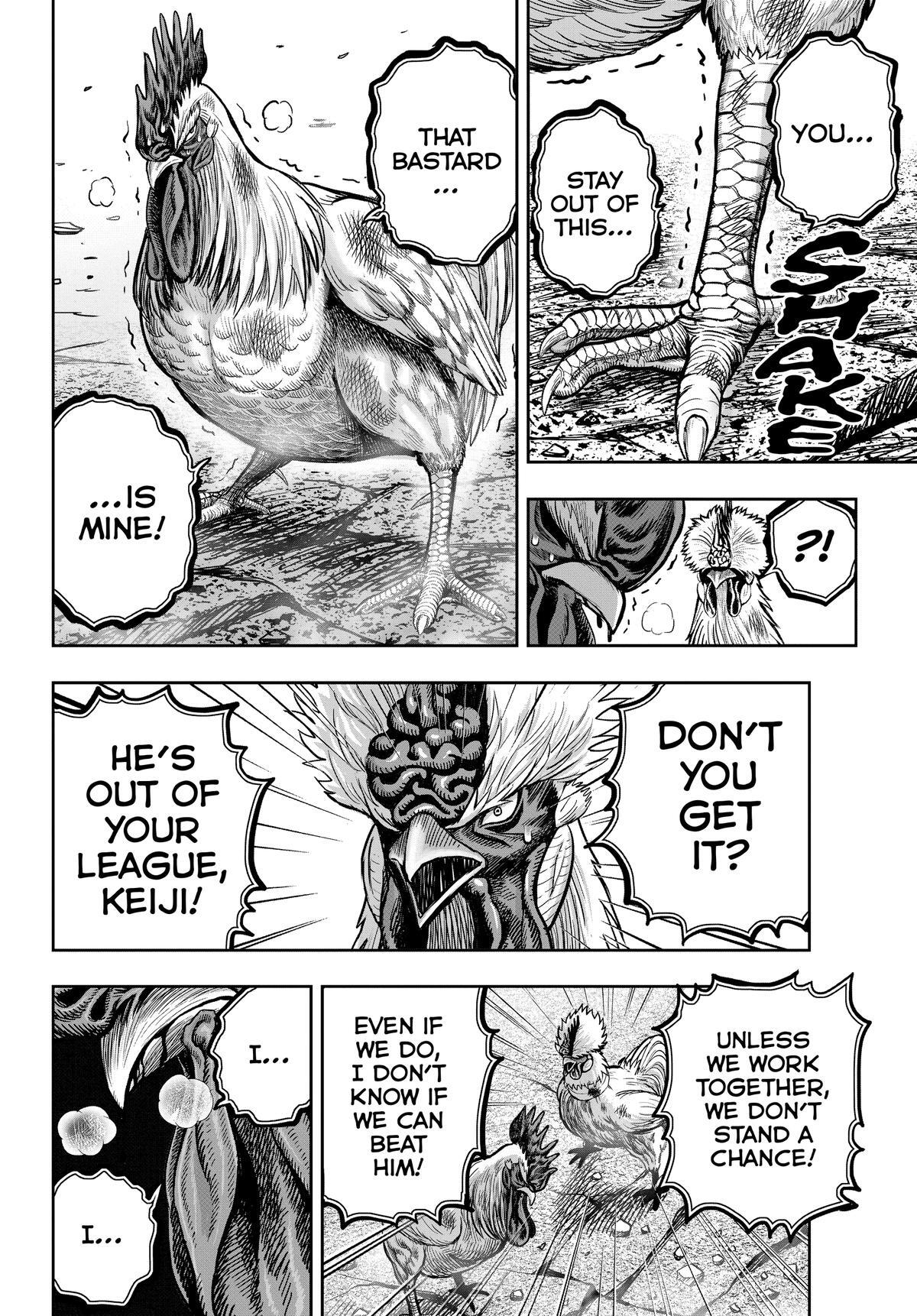Read Rooster Fighter Manga Online