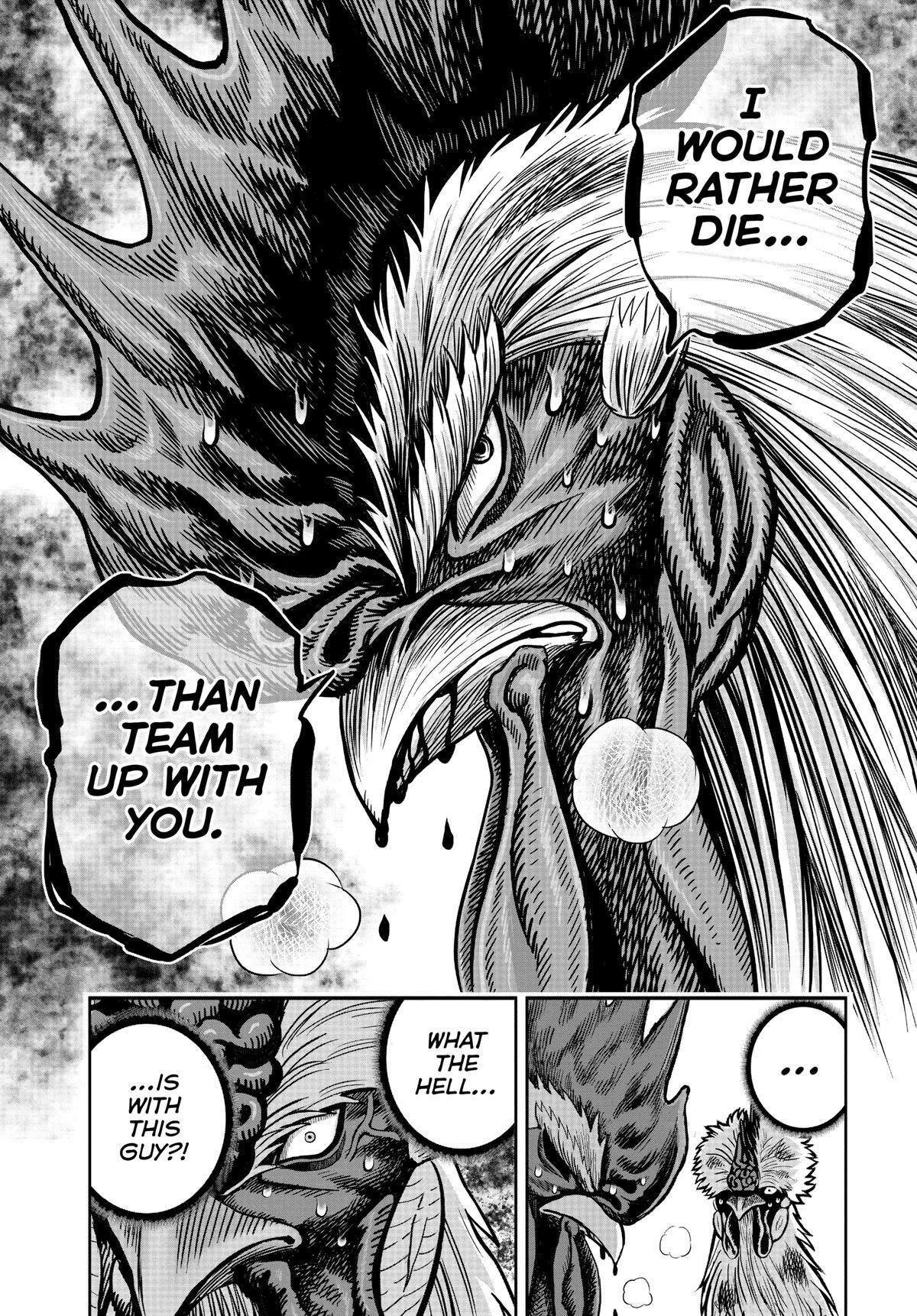 Read Rooster Fighter Manga Online
