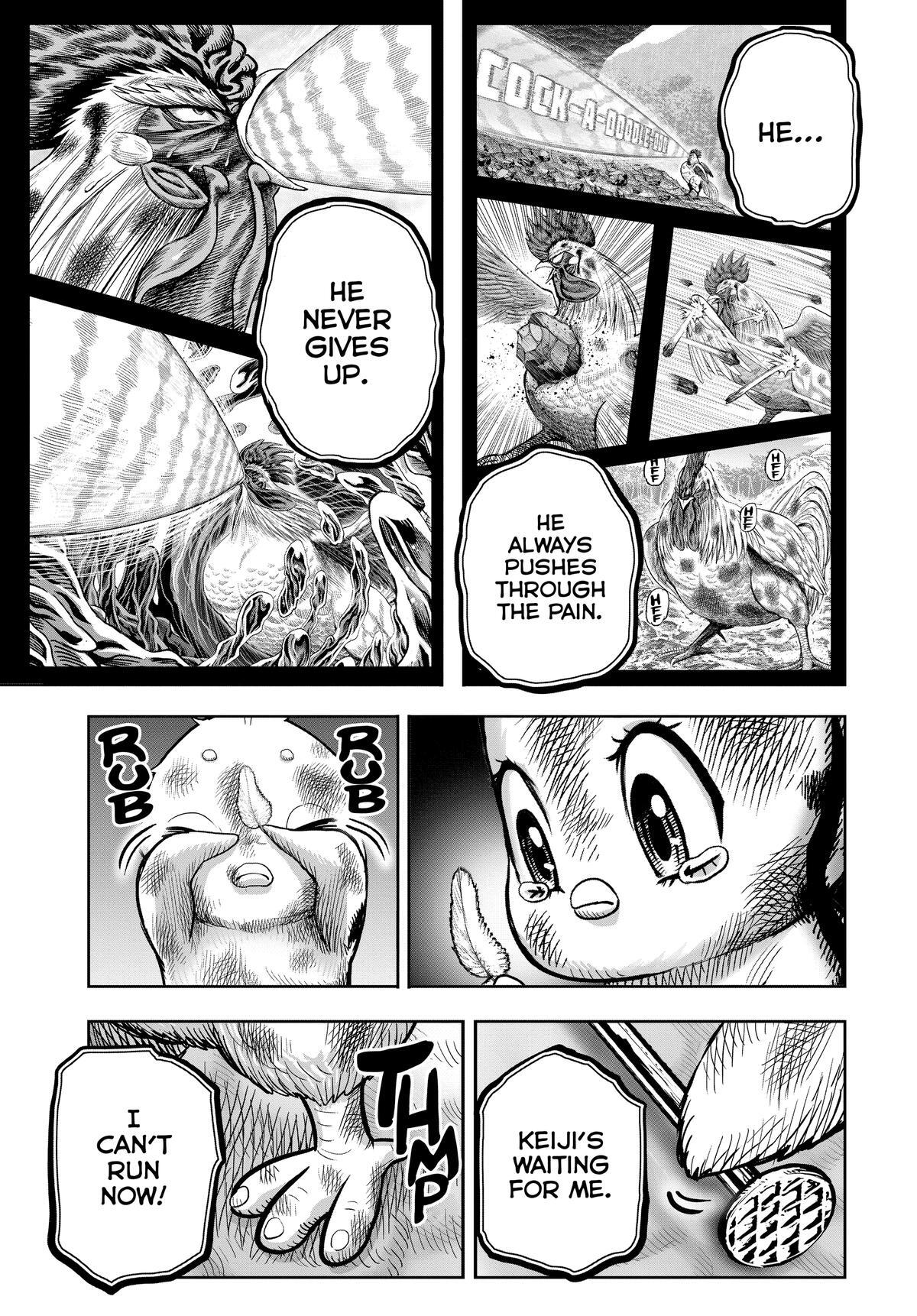Read Rooster Fighter Manga Online