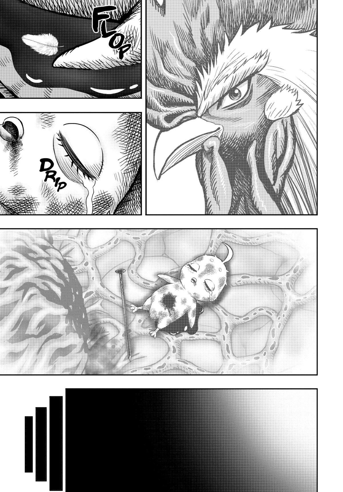 Read Rooster Fighter Manga Online