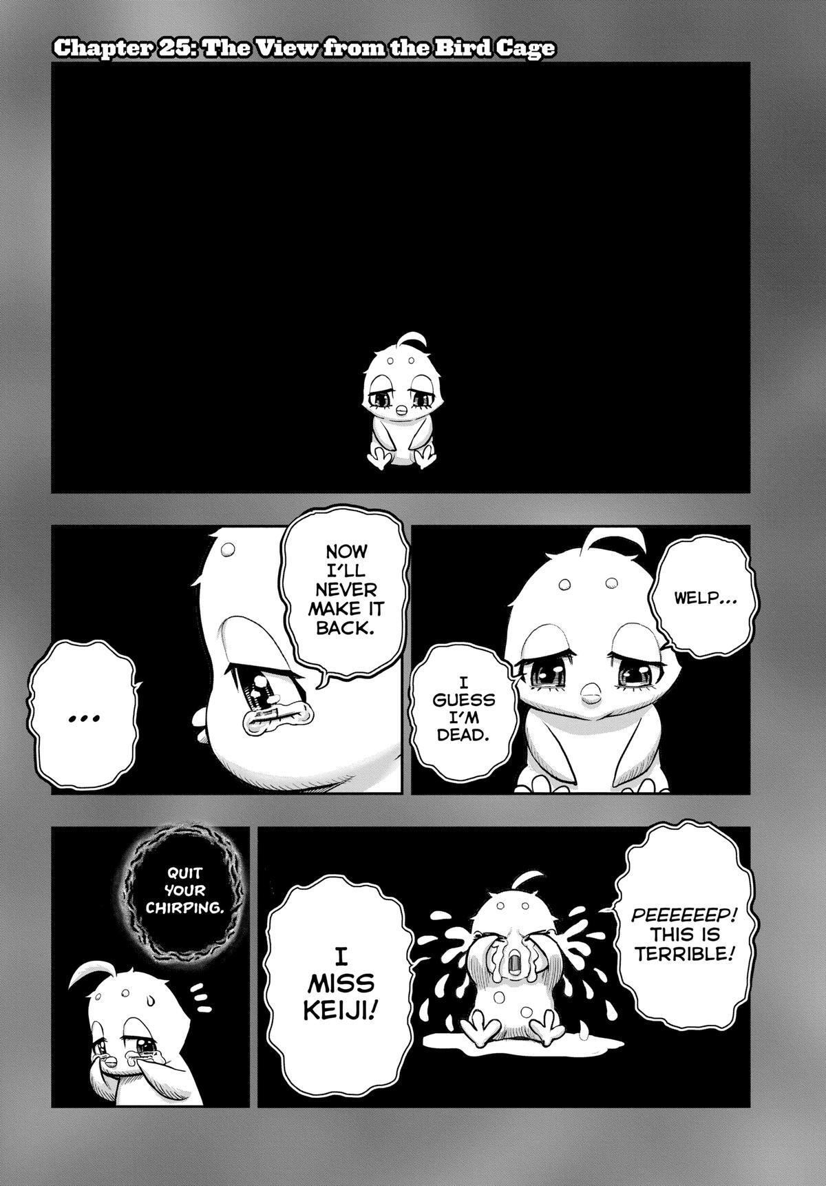 Read Rooster Fighter Manga Online