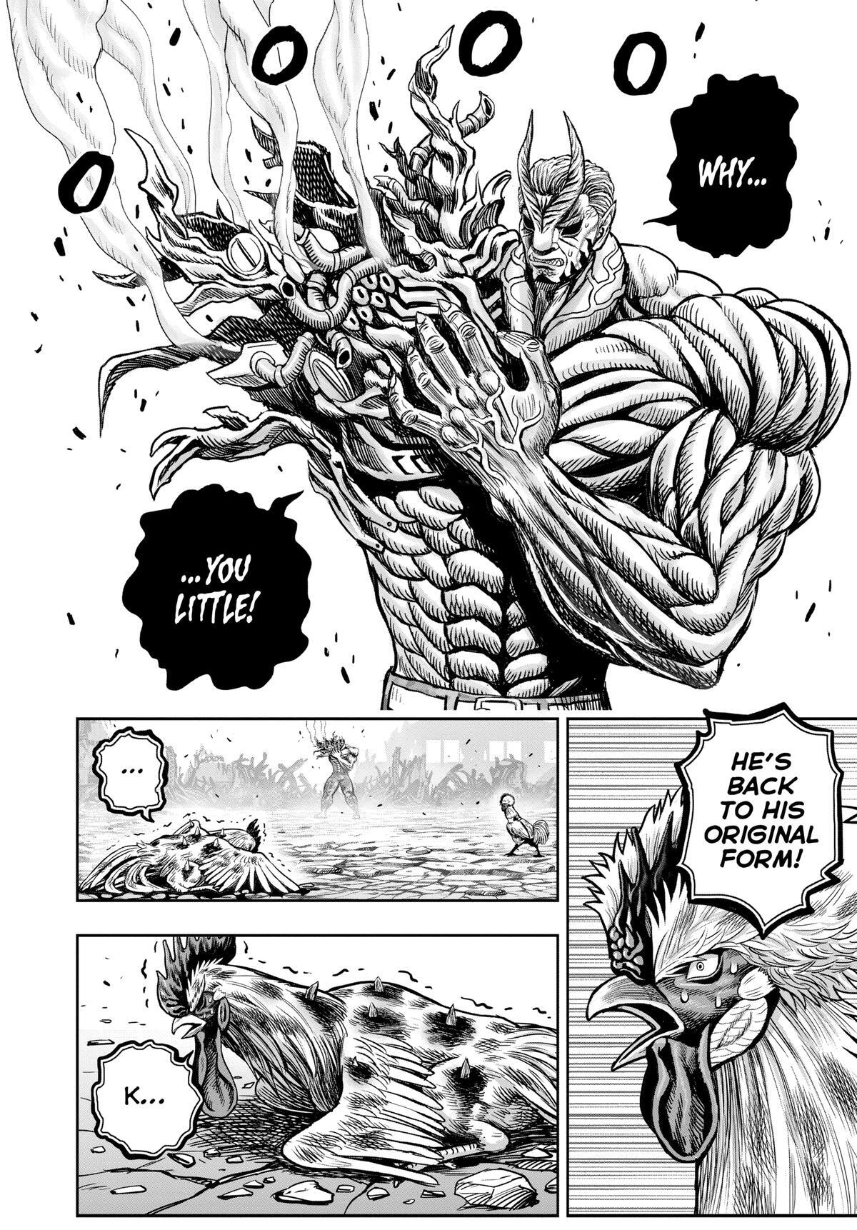 Read Rooster Fighter Manga Online