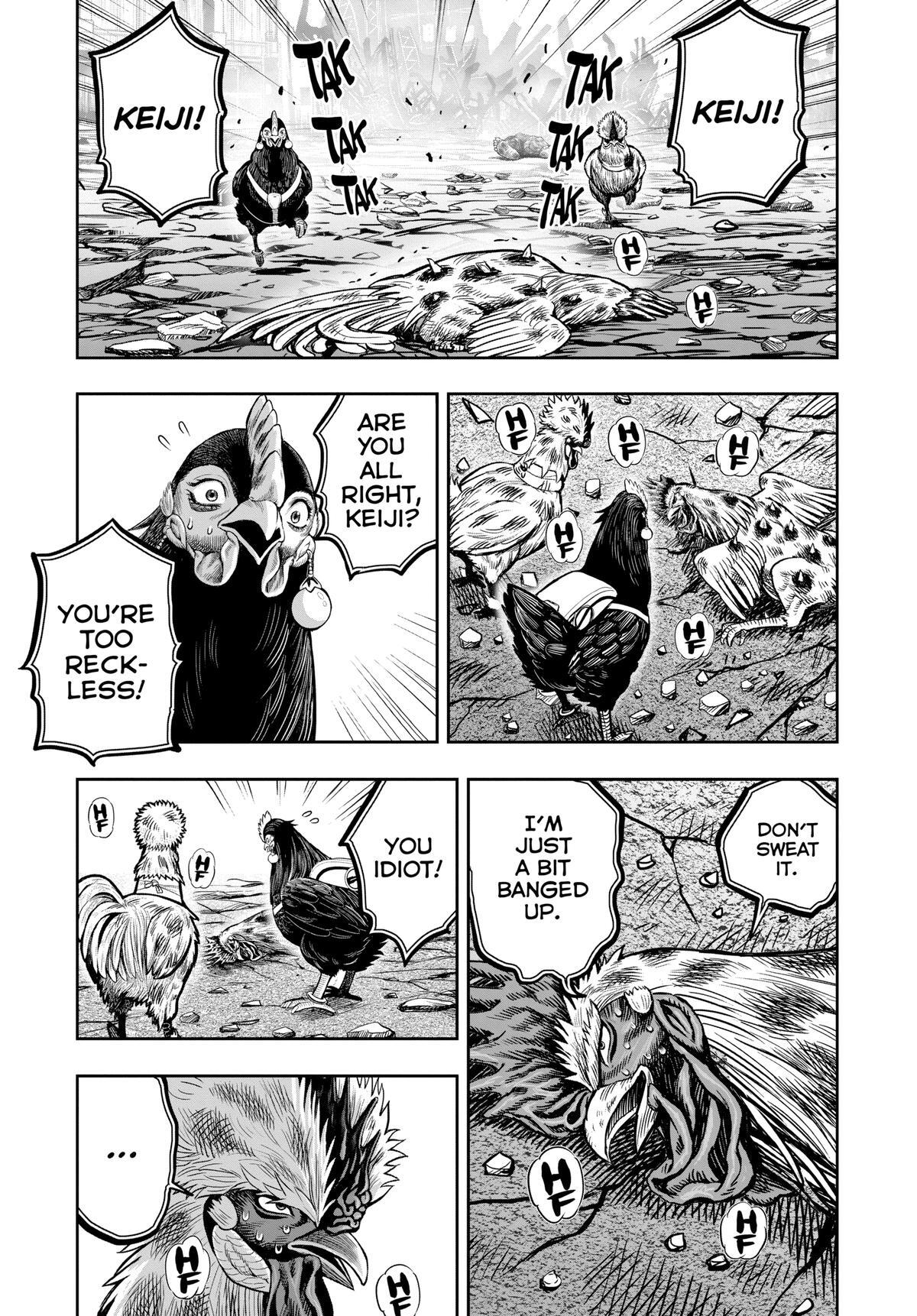 Read Rooster Fighter Manga Online