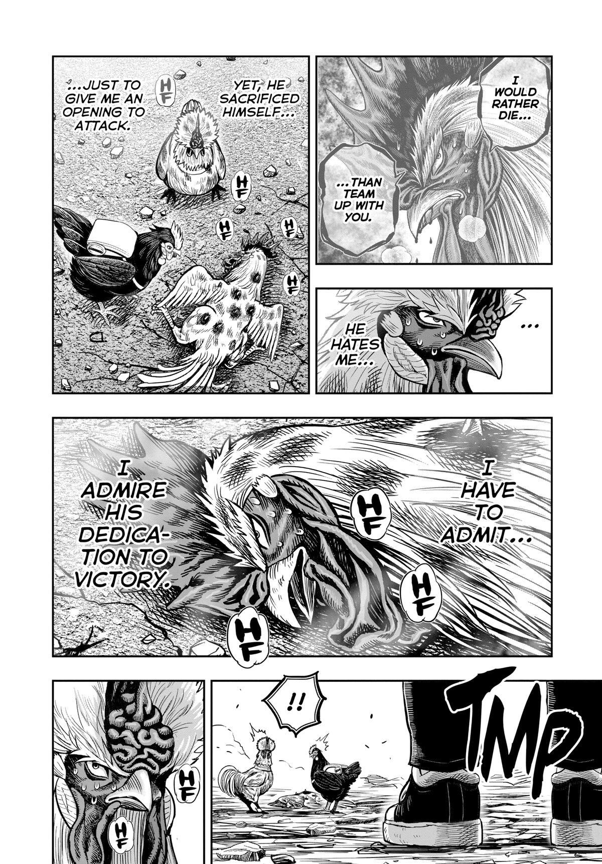 Read Rooster Fighter Manga Online
