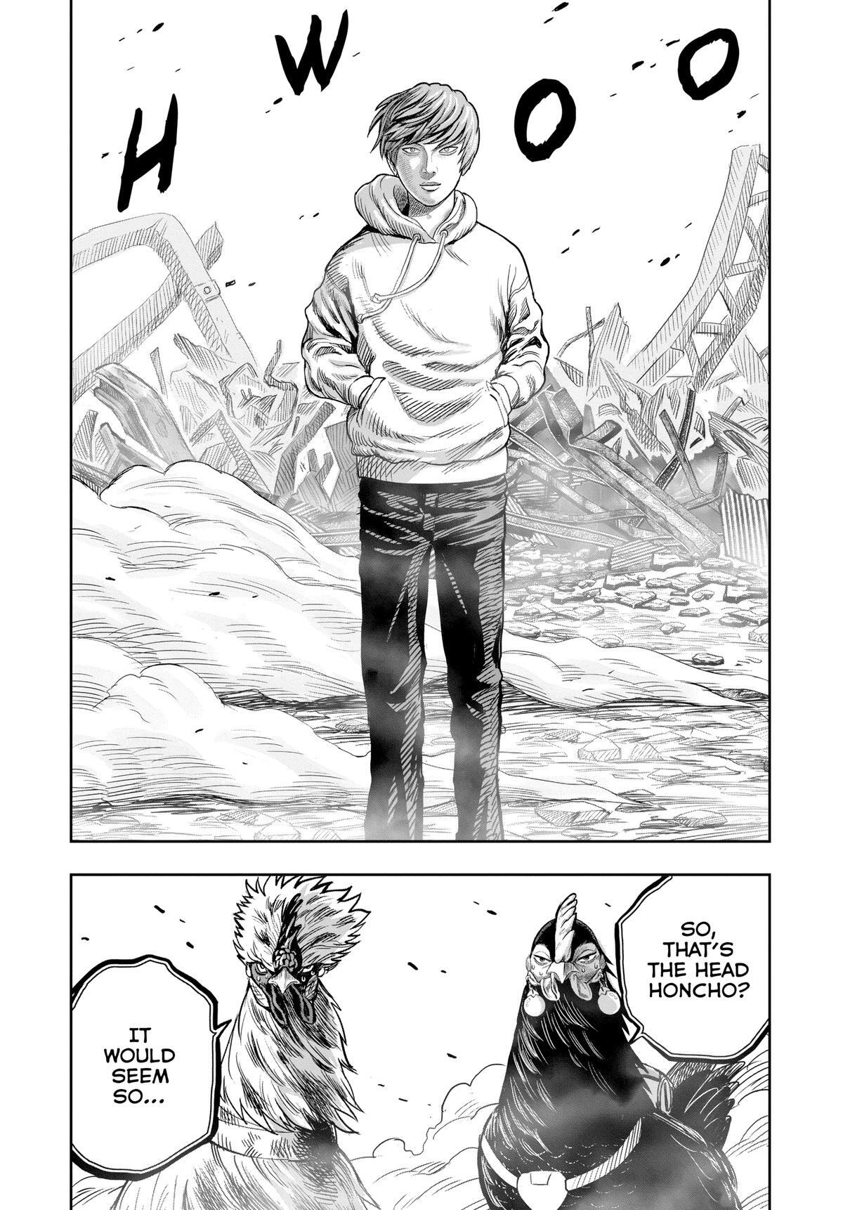 Read Rooster Fighter Manga Online