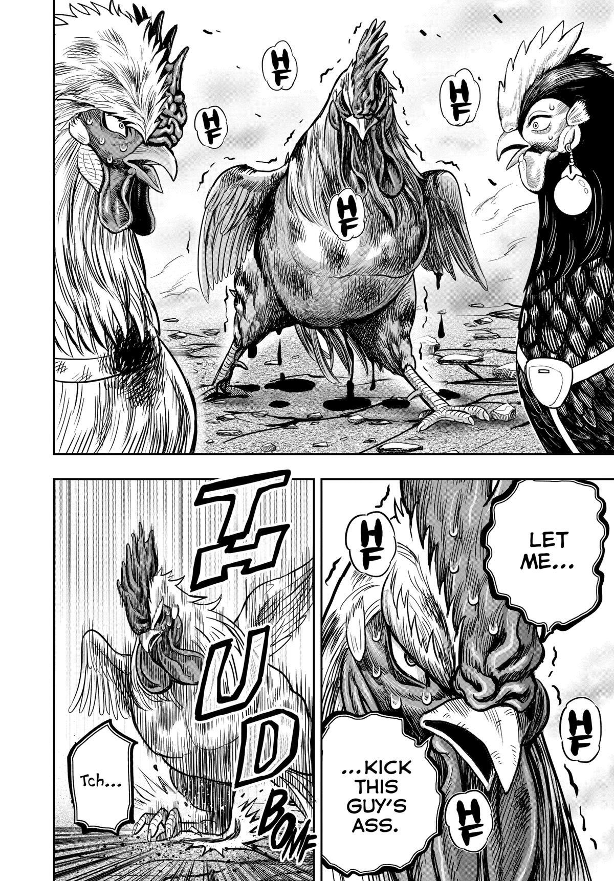 Read Rooster Fighter Manga Online