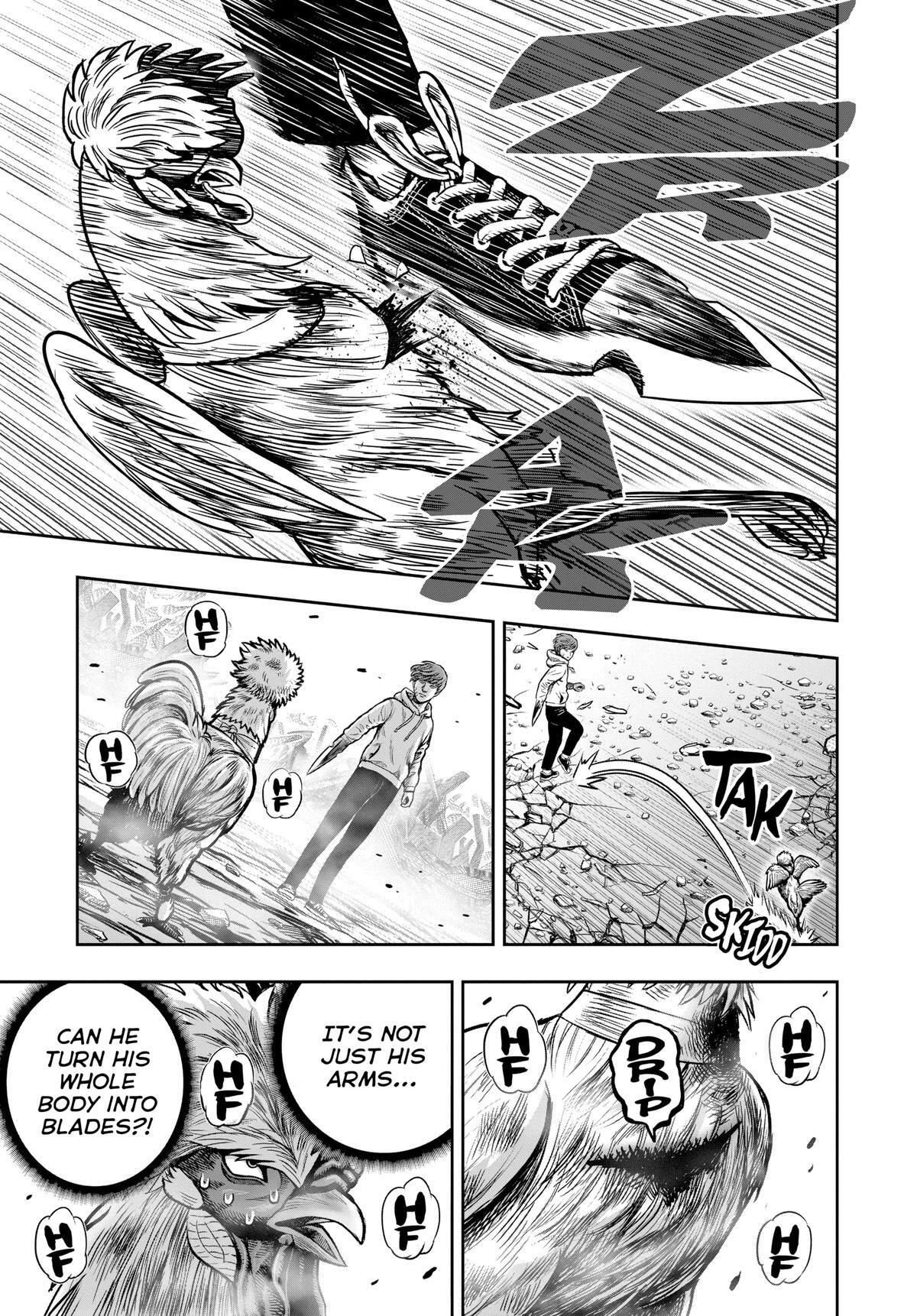 Read Rooster Fighter Manga Online