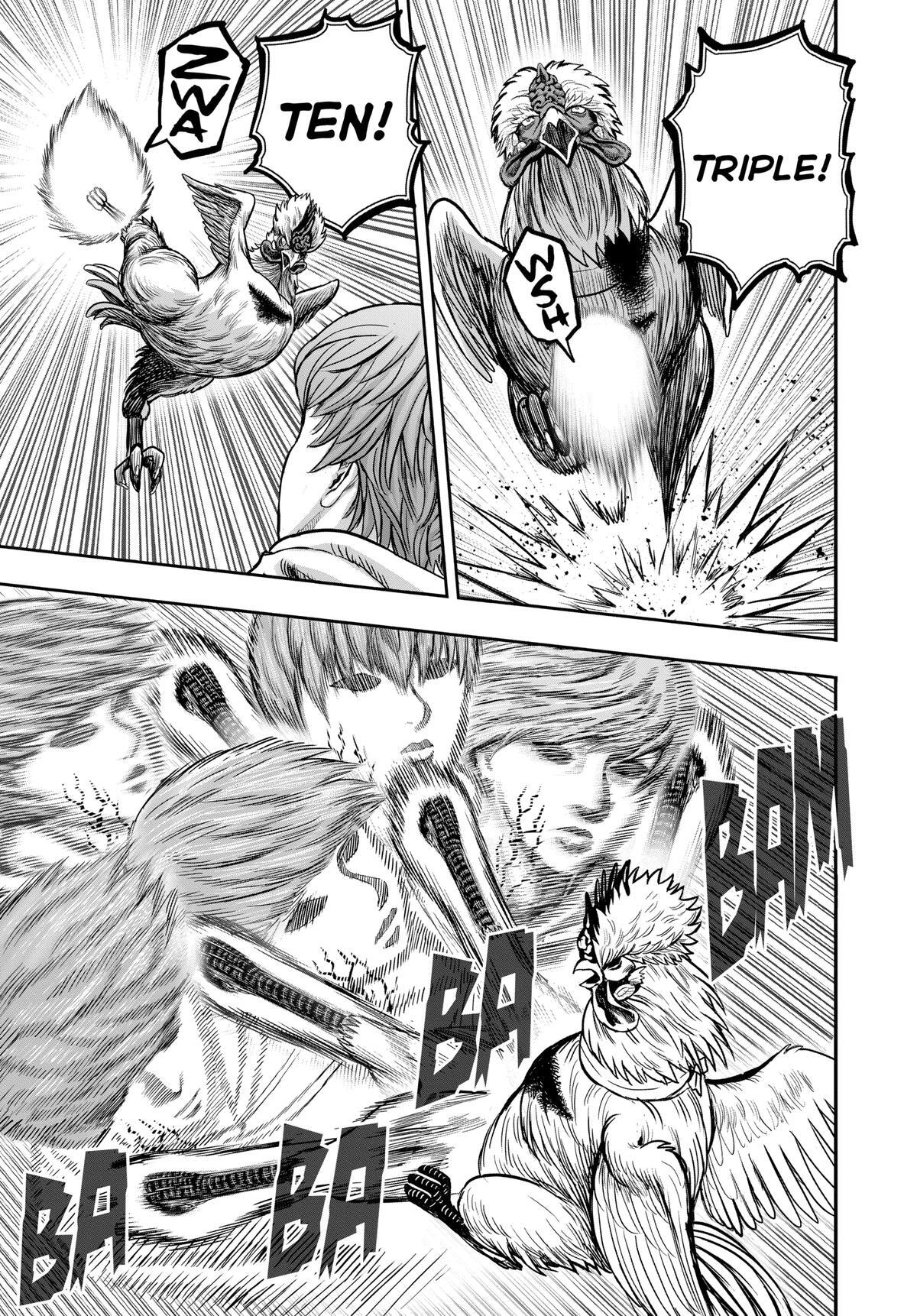 Read Rooster Fighter Manga Online