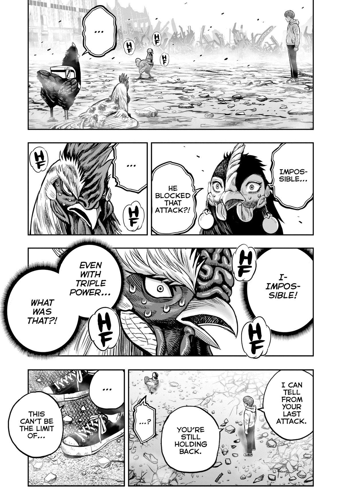 Read Rooster Fighter Manga Online