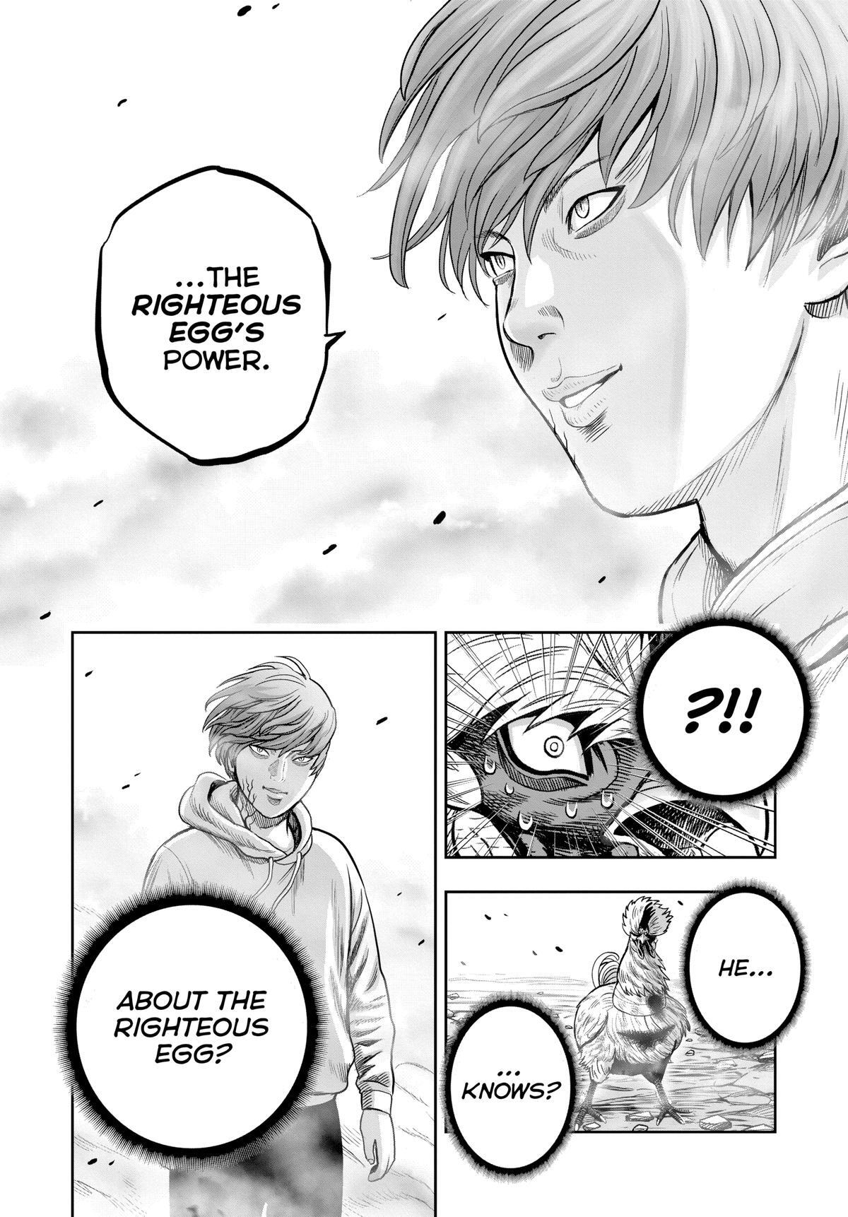 Read Rooster Fighter Manga Online