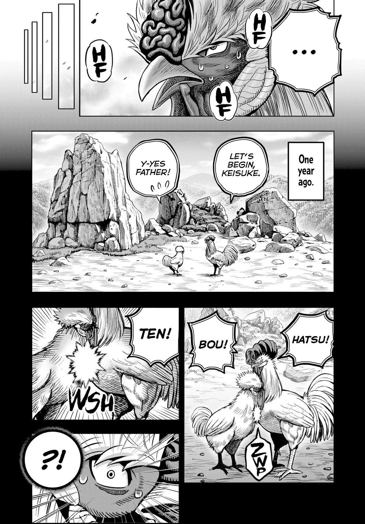 Read Rooster Fighter Manga Online