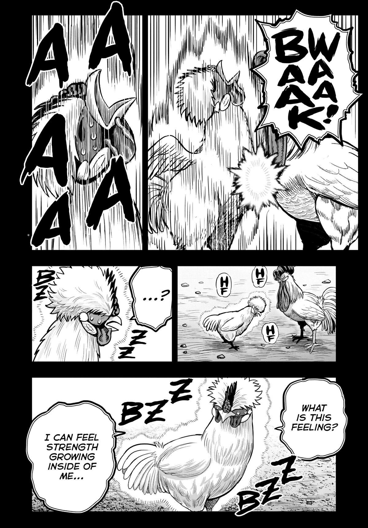 Read Rooster Fighter Manga Online