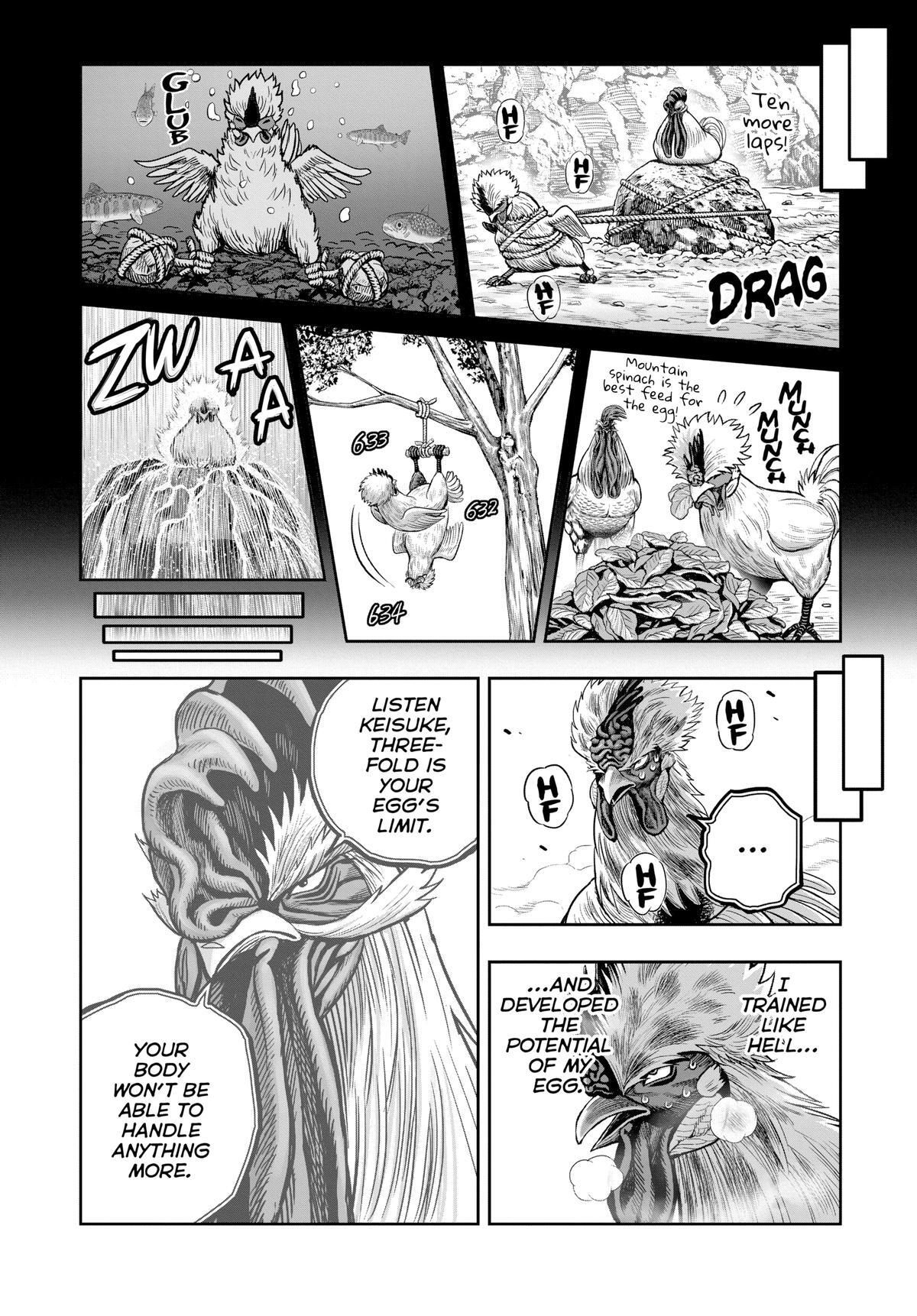 Read Rooster Fighter Manga Online