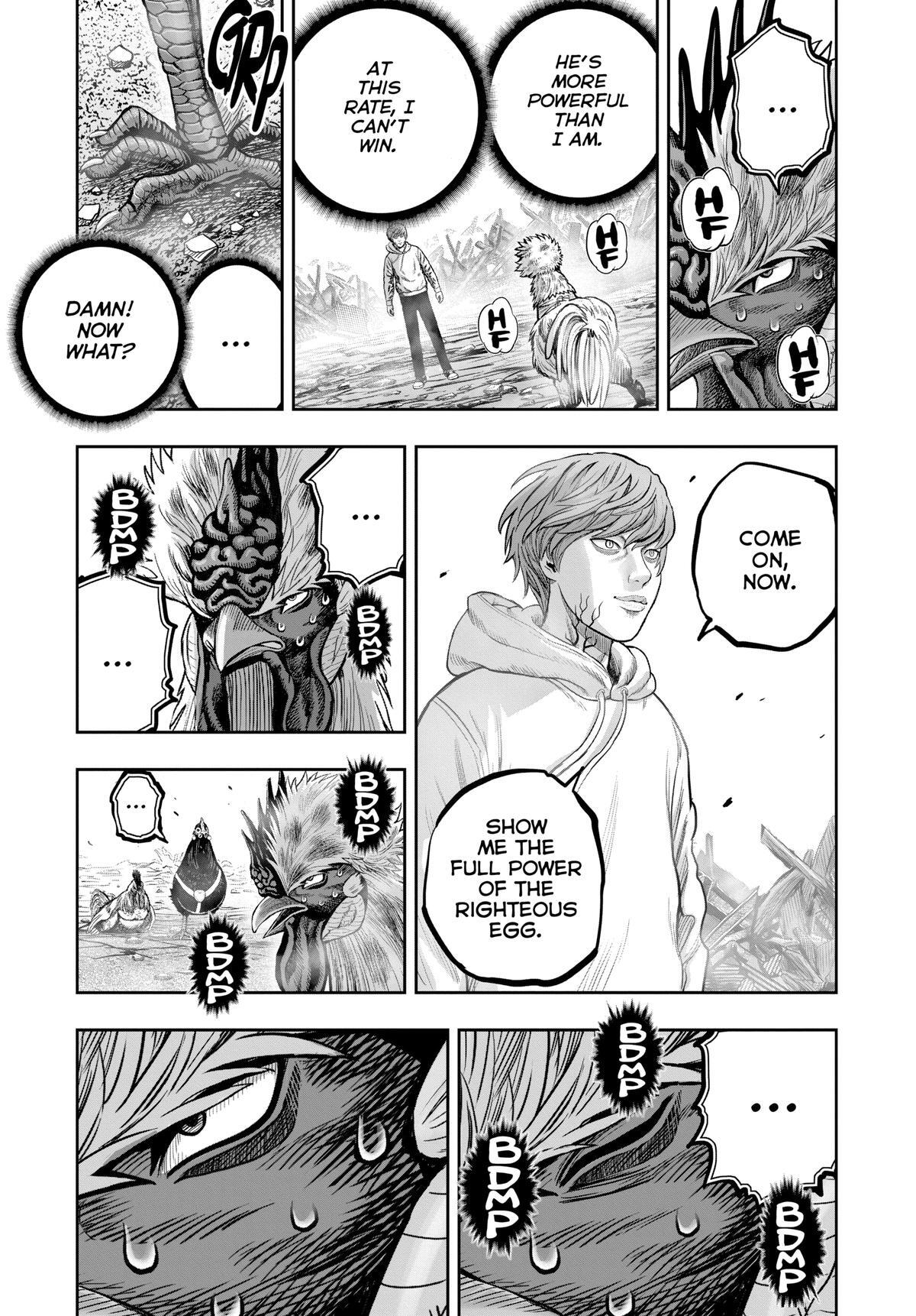 Read Rooster Fighter Manga Online