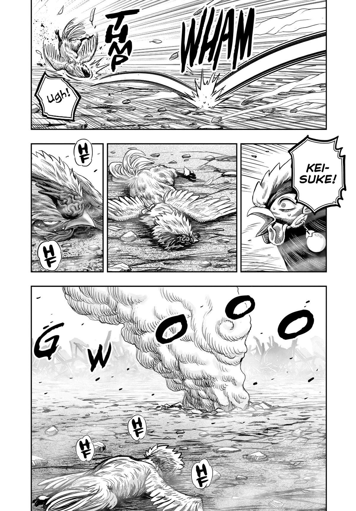 Read Rooster Fighter Manga Online