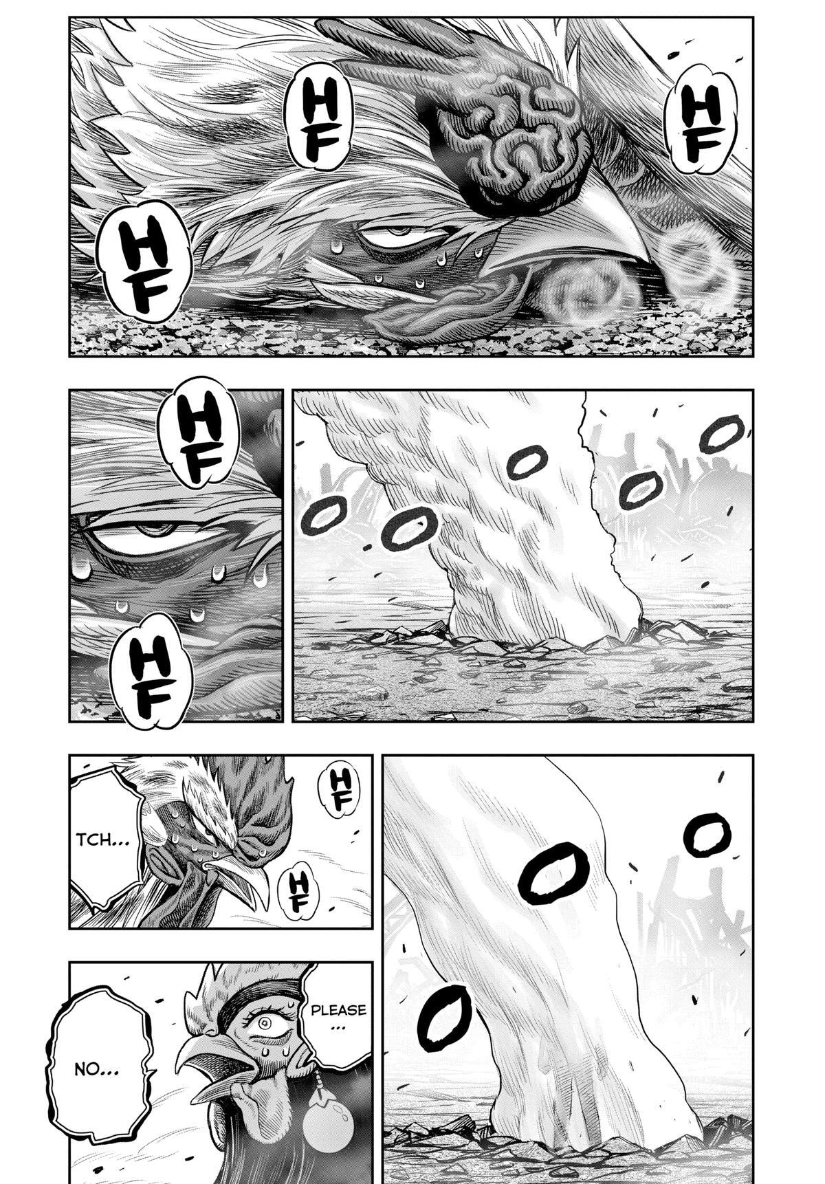 Read Rooster Fighter Manga Online