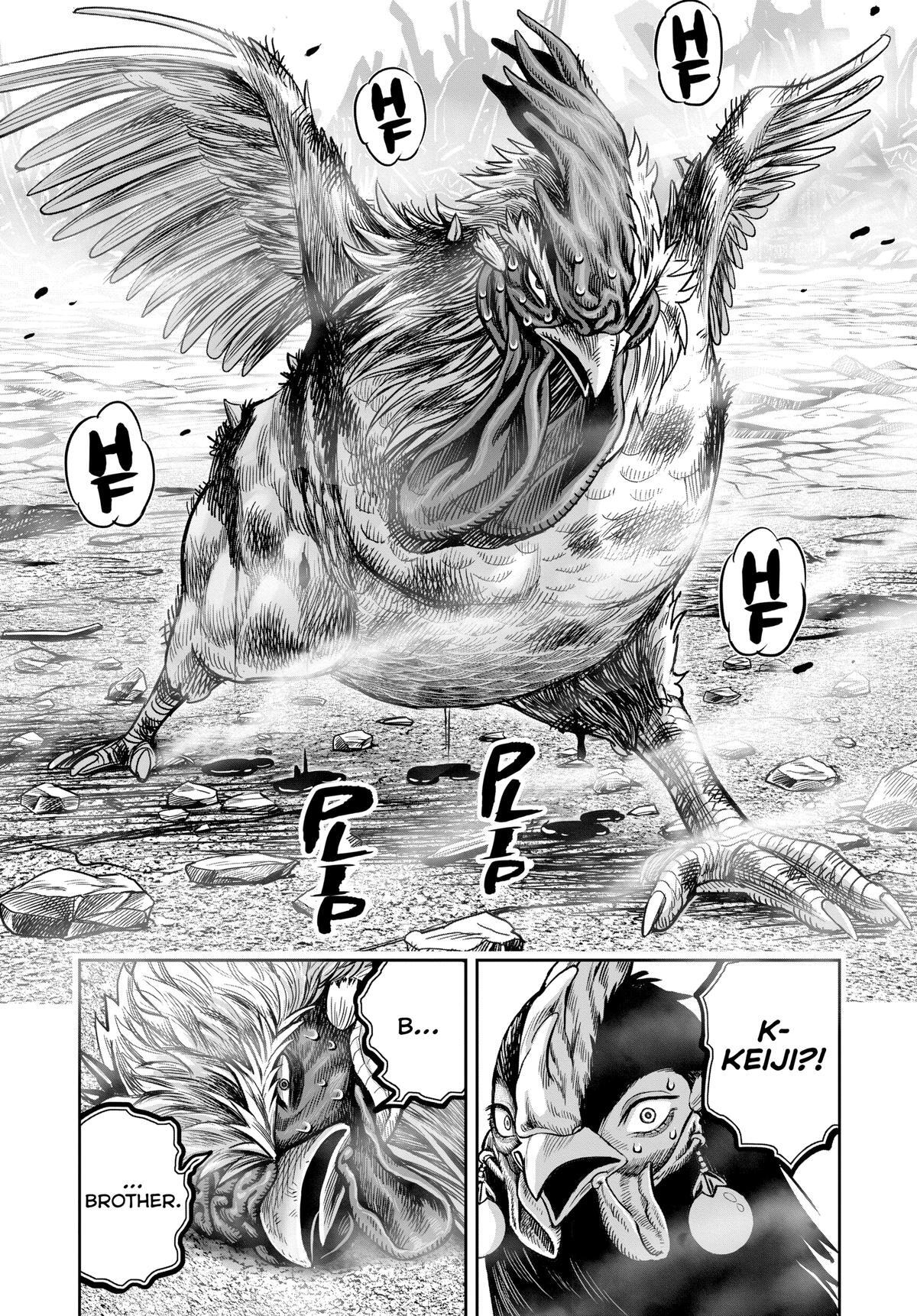 Read Rooster Fighter Manga Online