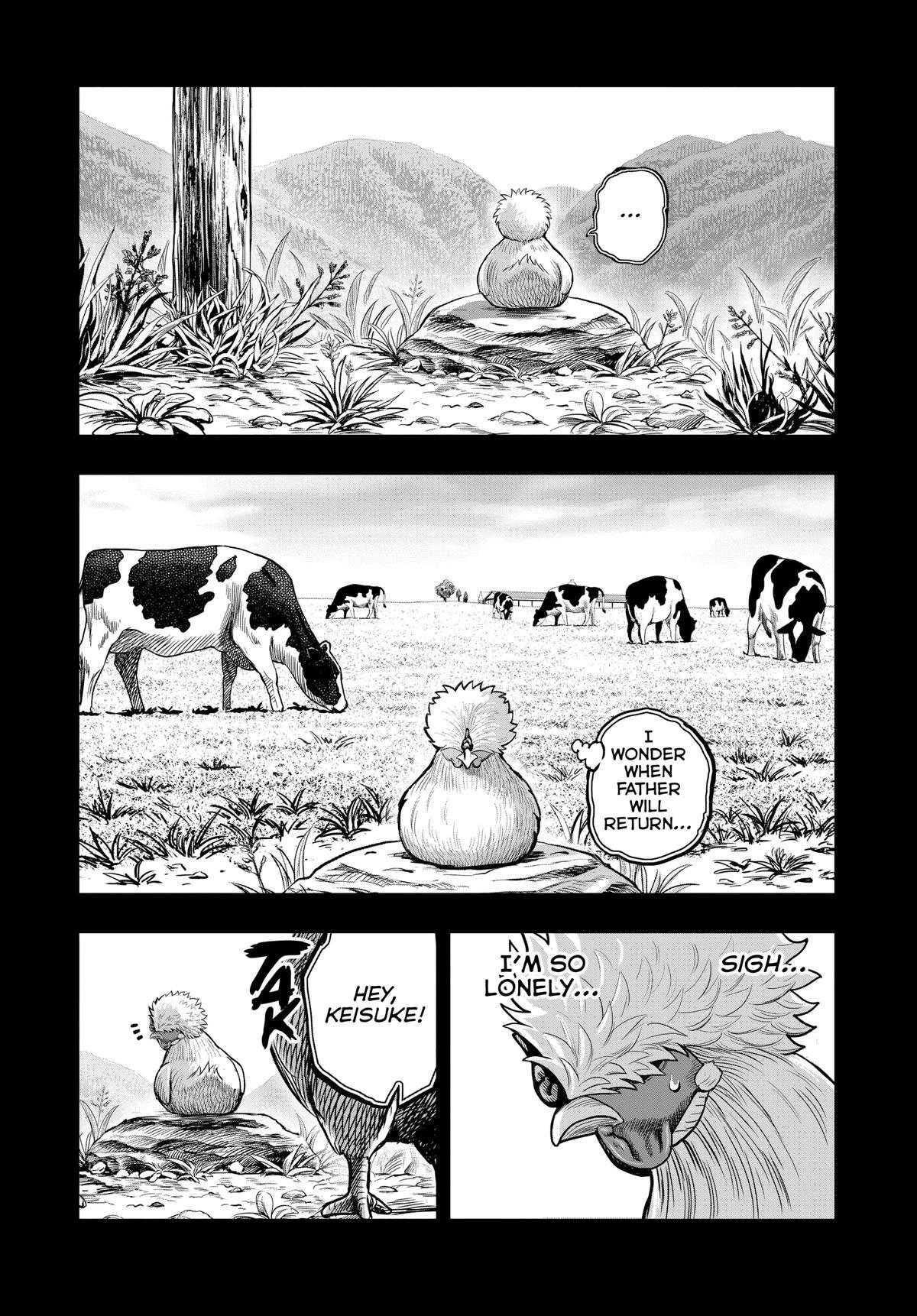 Read Rooster Fighter Manga Online