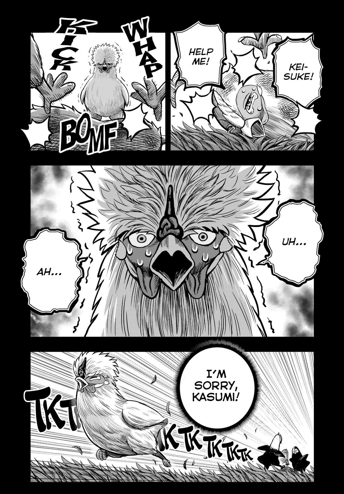 Read Rooster Fighter Manga Online
